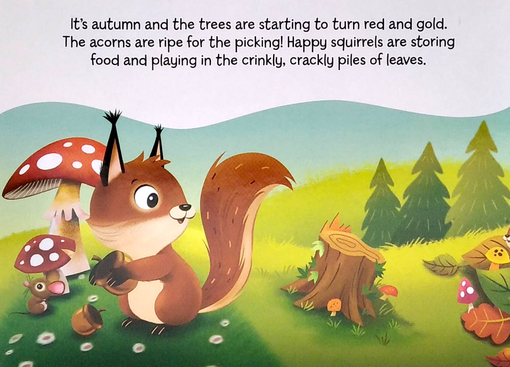 my mini busy book: friendly forest - Ảnh 12