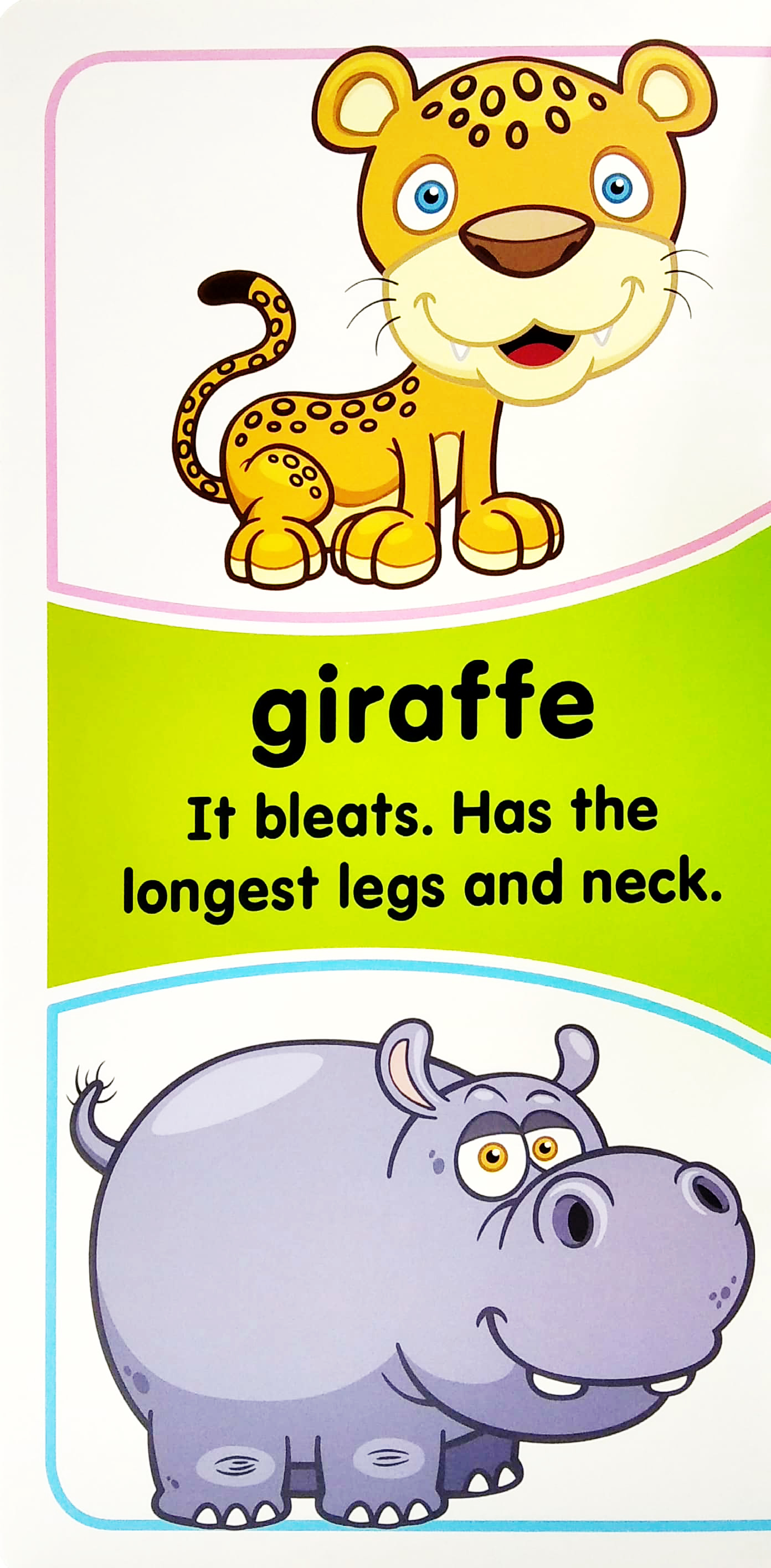 my mini giant: animals essential facts included - Ảnh 5