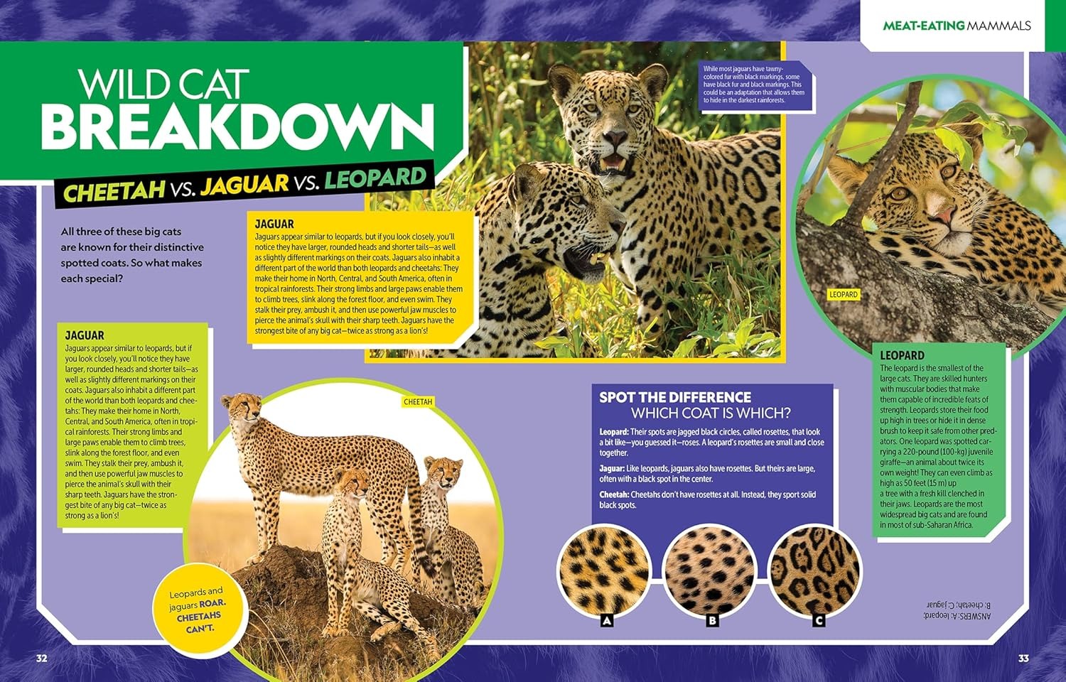 national geographic kids - ultimate mammalpedia - Ảnh 4