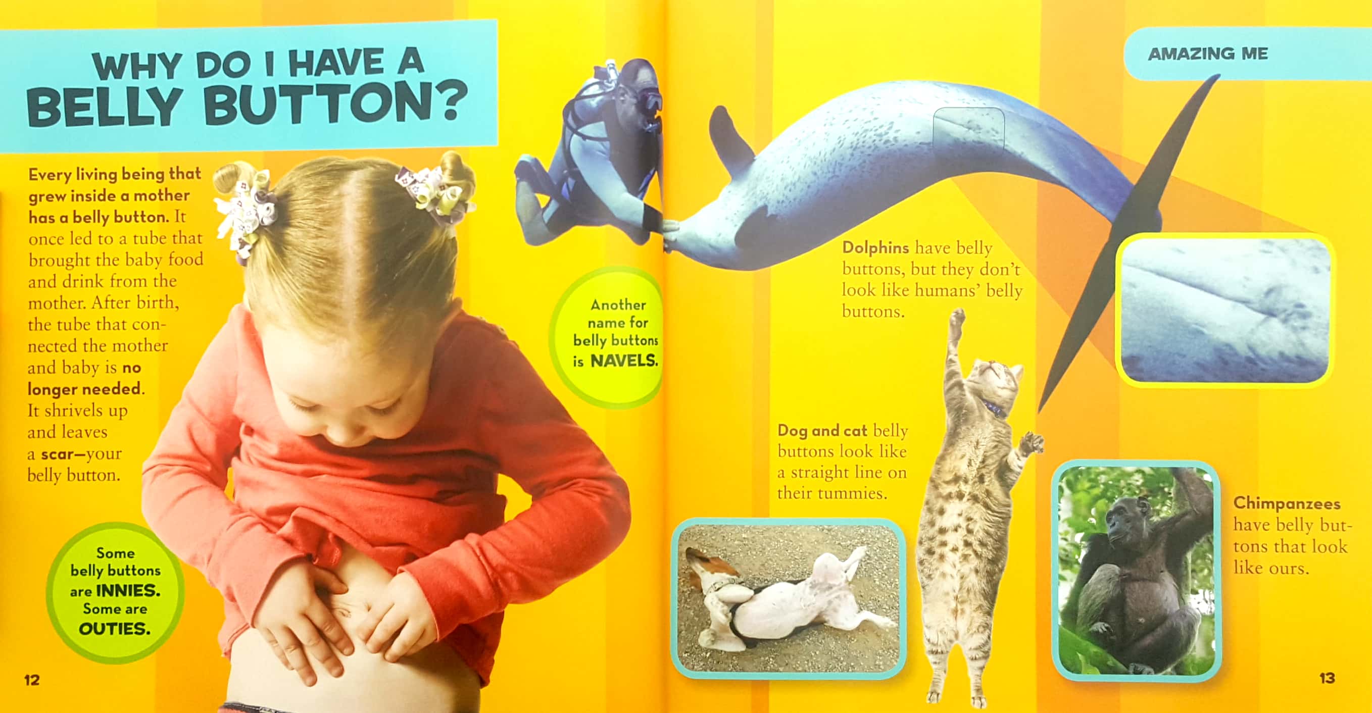 national geographic little kids first big book of why (national geographic little kids first big books) - Ảnh 6