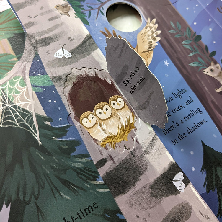 nature die-cut book - let's explore! the woods - Ảnh 5