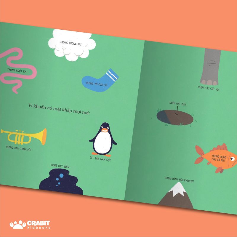 này, chớ táy máy liếm sách! - Ảnh 3