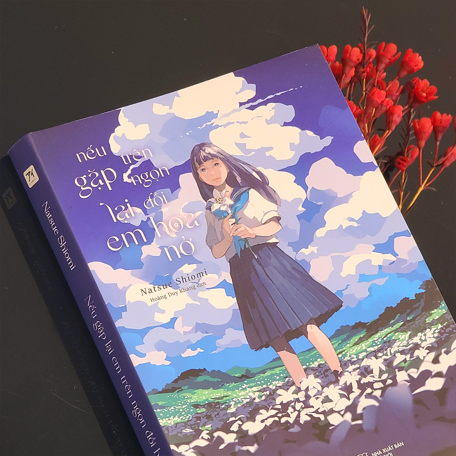 nếu gặp lại em trên ngọn đồi hoa nở - Ảnh 3