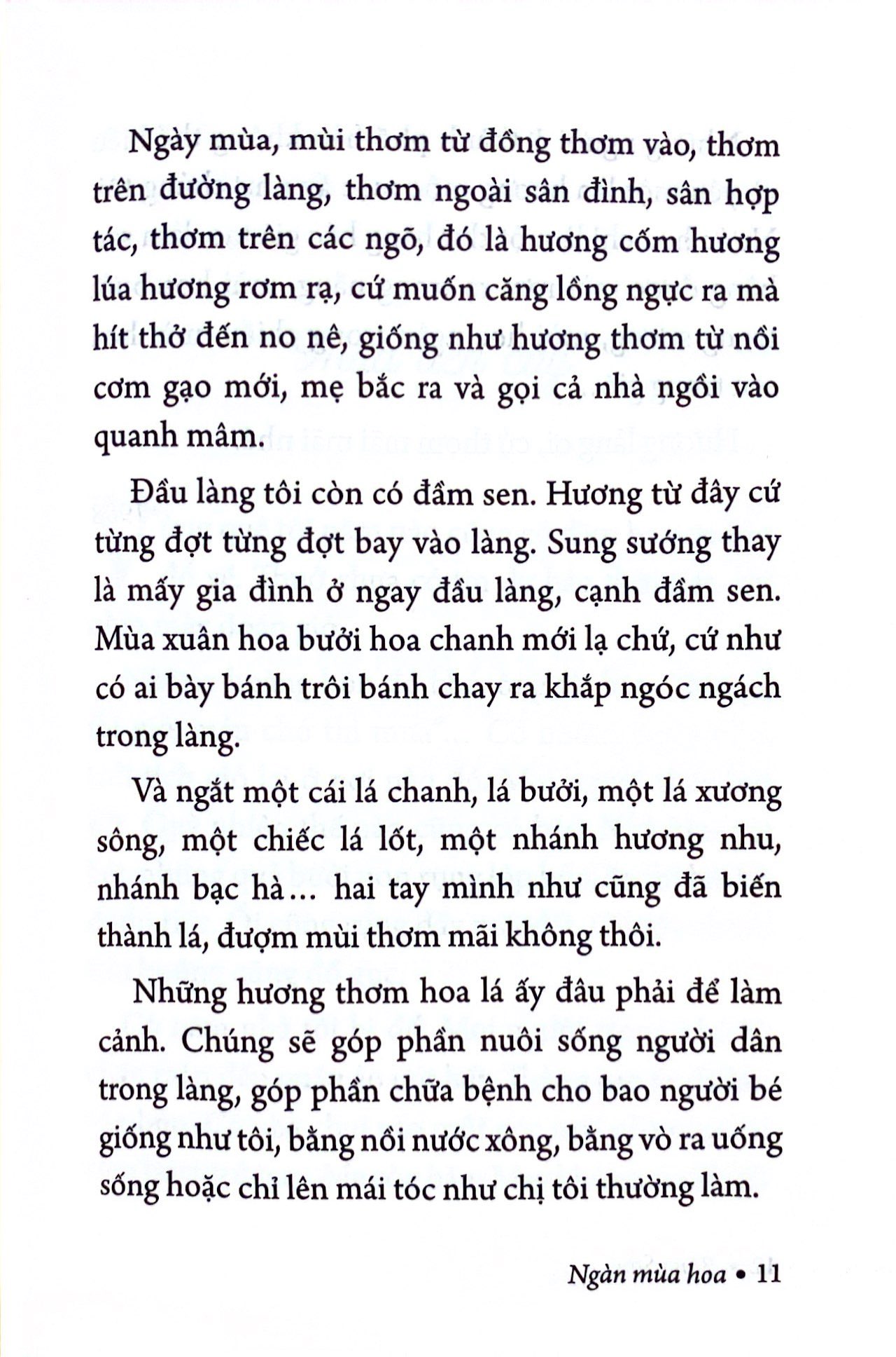 ngàn mùa hoa - nét đẹp quê hương - Ảnh 4