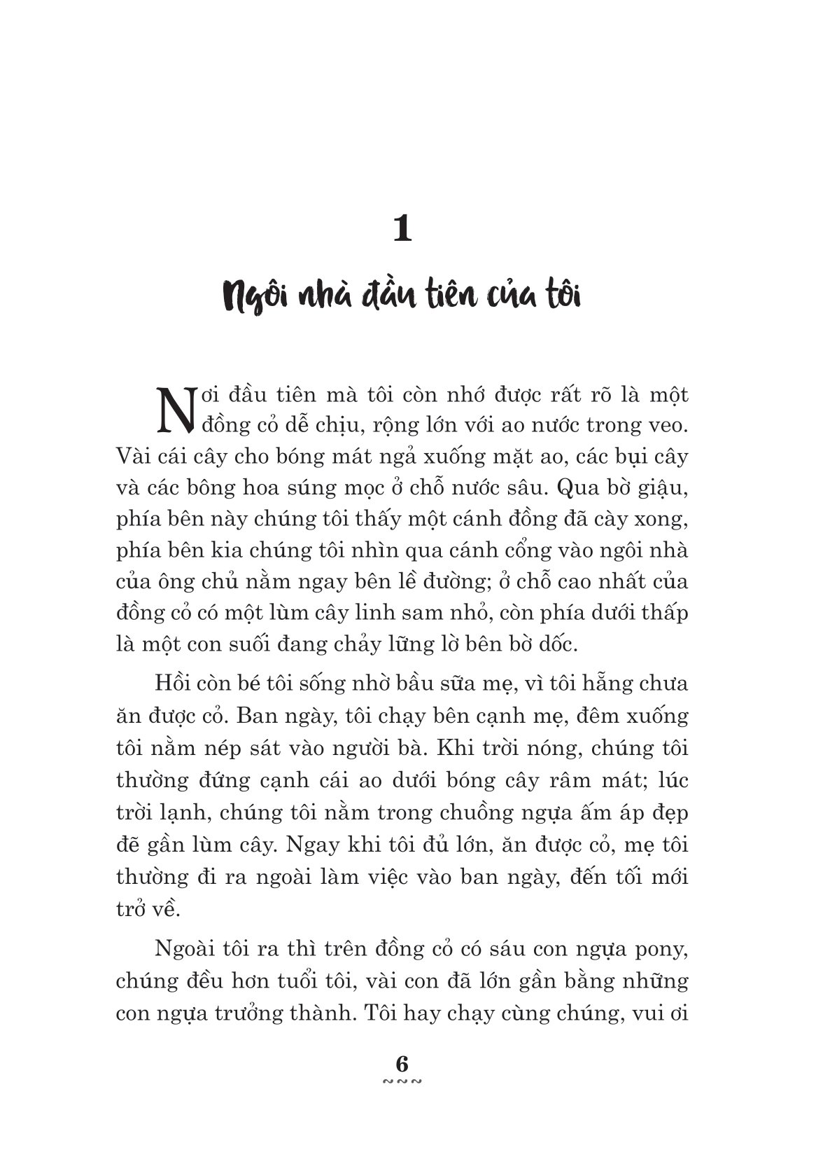 ngựa ô yêu dấu - Ảnh 6