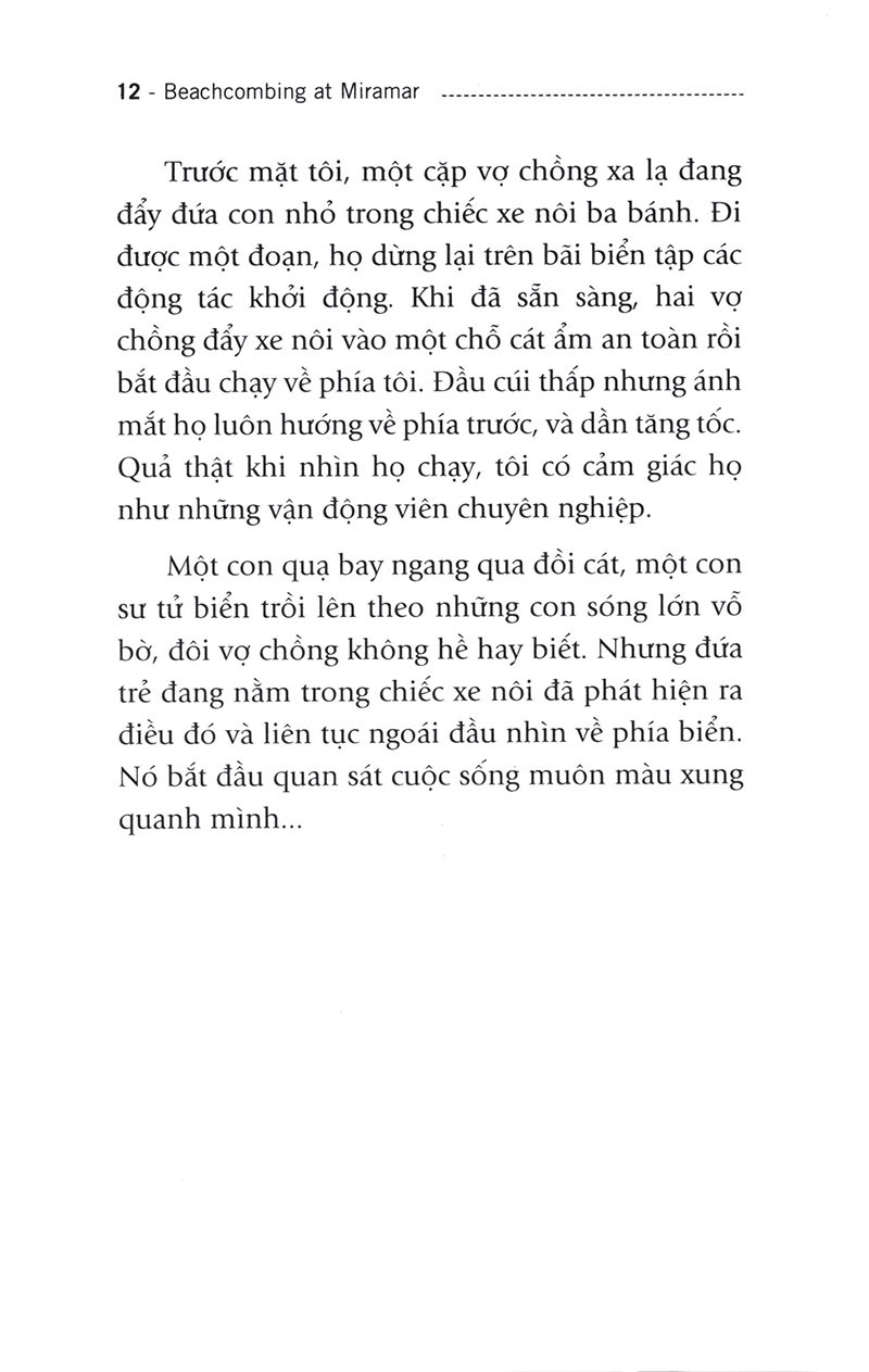 người đi tìm tặng vật của biển (tái bản) - Ảnh 6