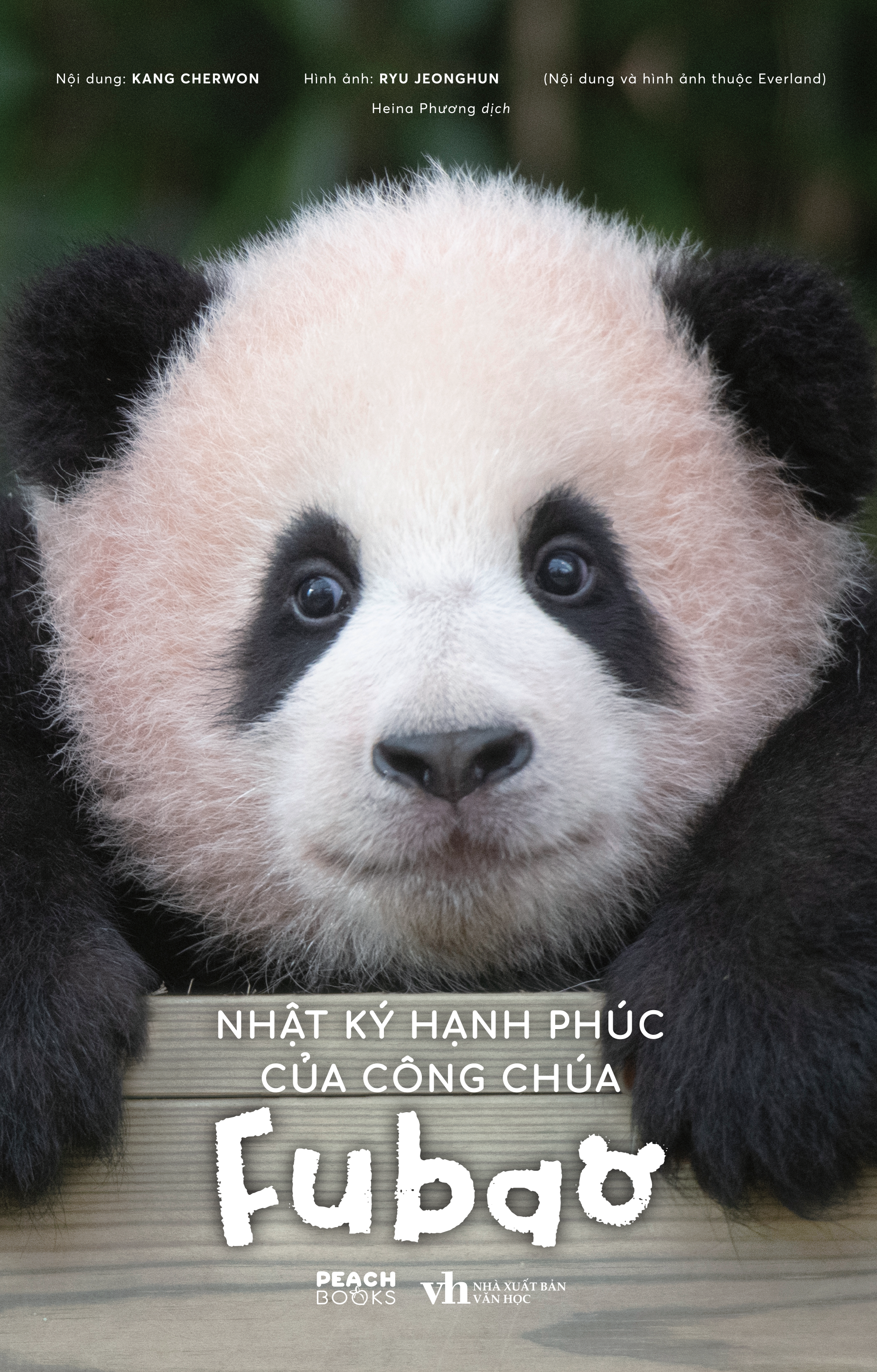 nhật ký hạnh phúc của công chúa fubao - Ảnh 2