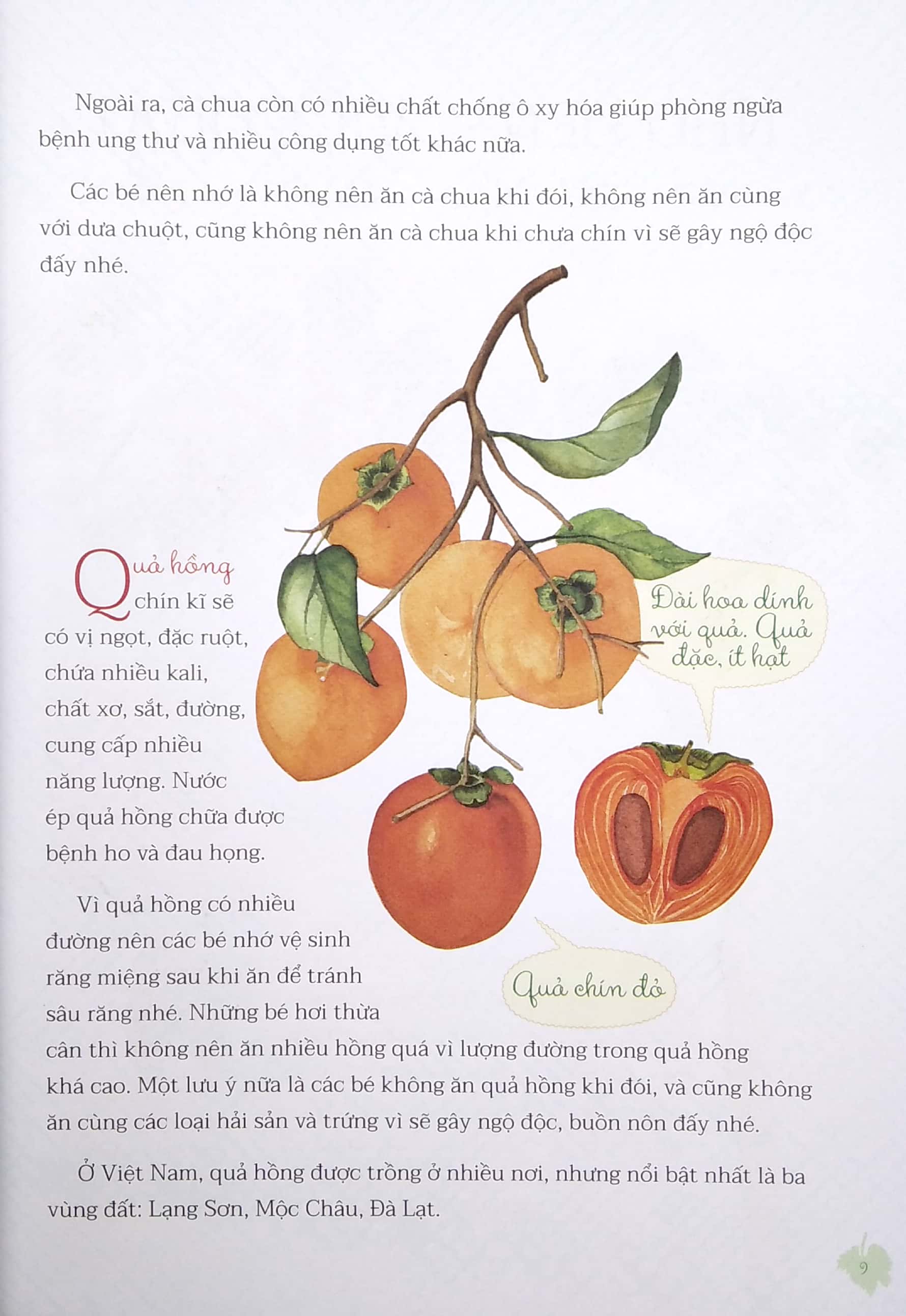 nhìn thì giống hóa ra lại khác - Ảnh 6