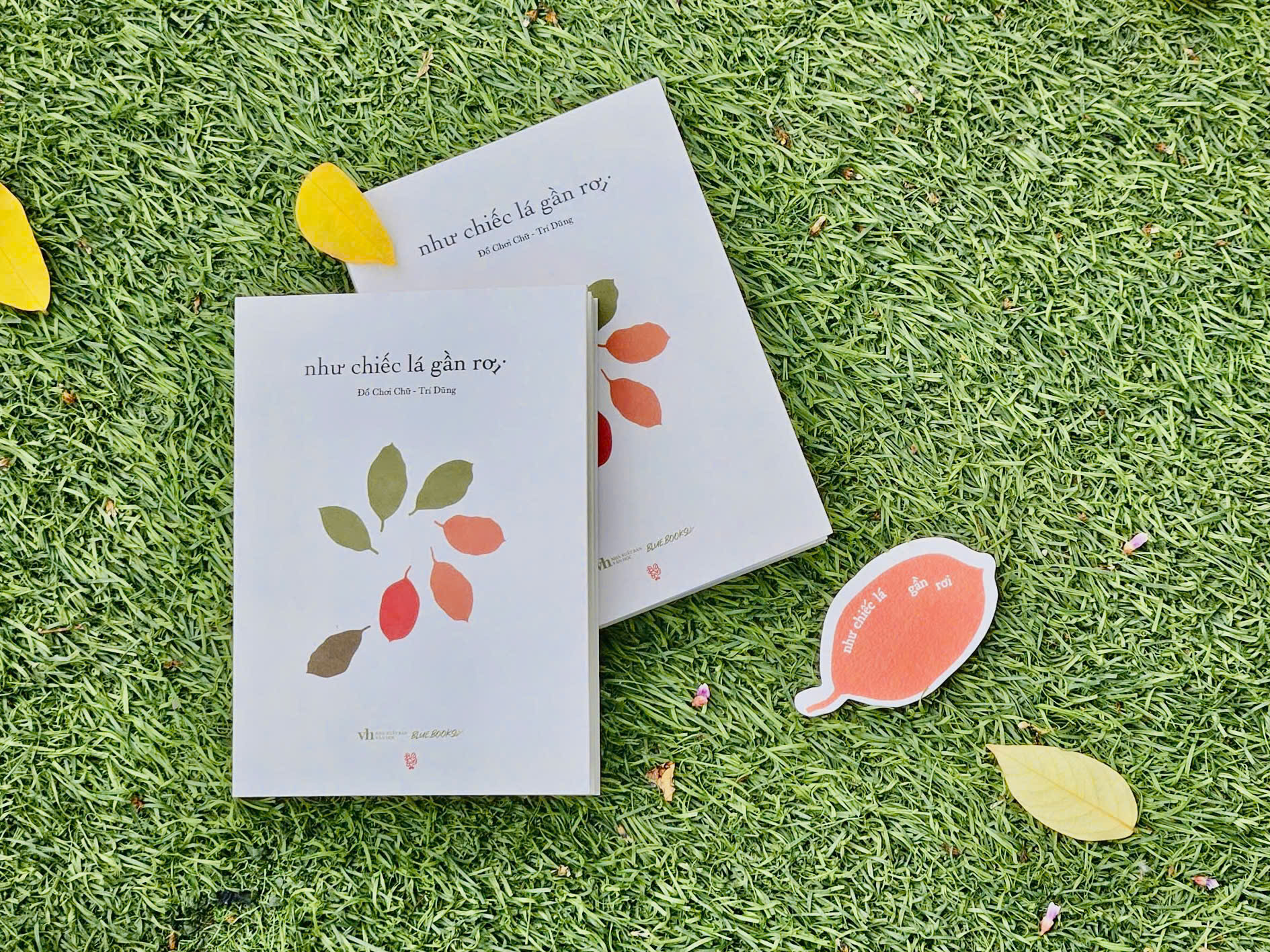 Như Chiếc Lá Gần Rơi - Ảnh 3