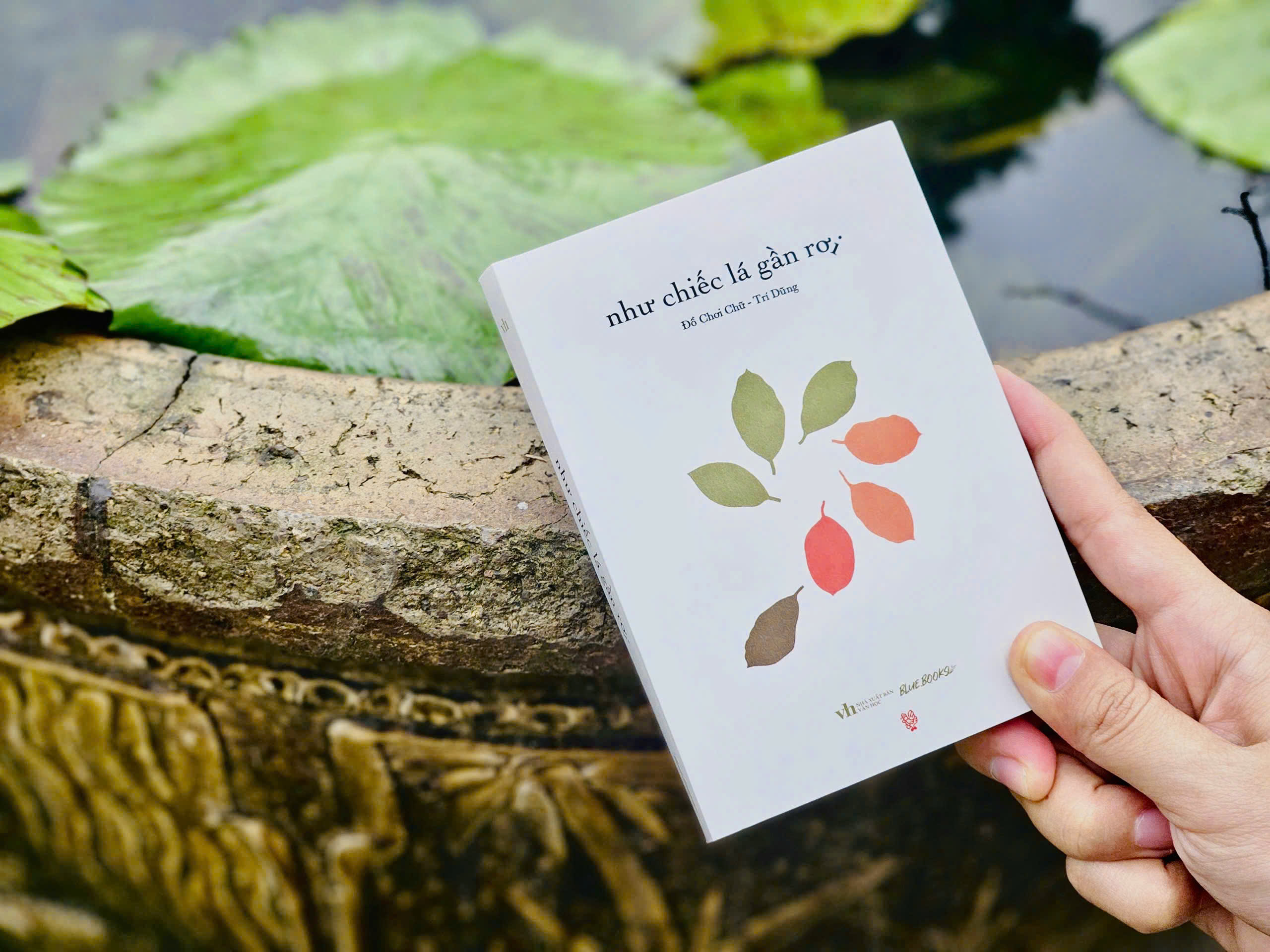 Như Chiếc Lá Gần Rơi - Ảnh 4
