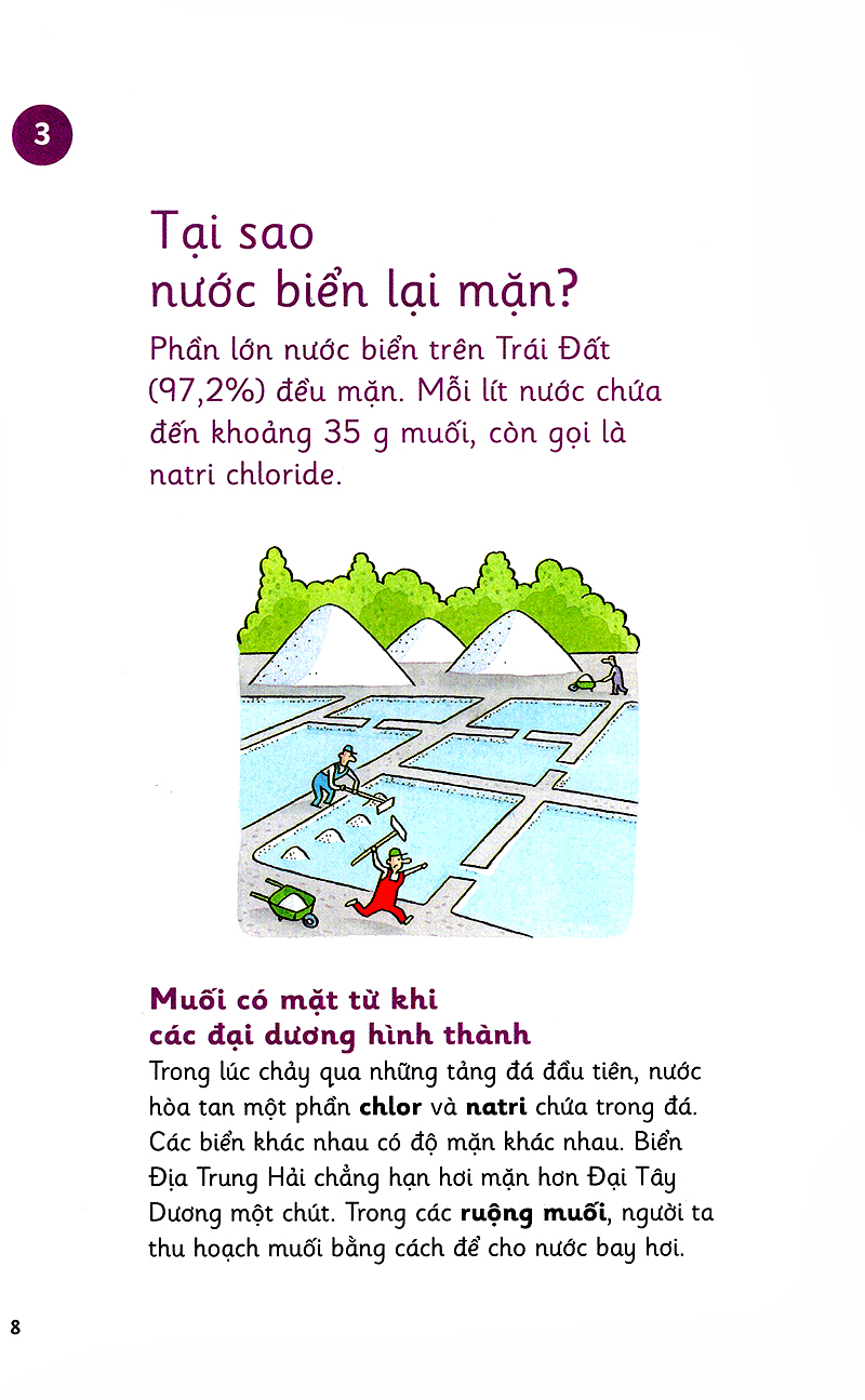 những bước đi nhỏ - nước - Ảnh 8