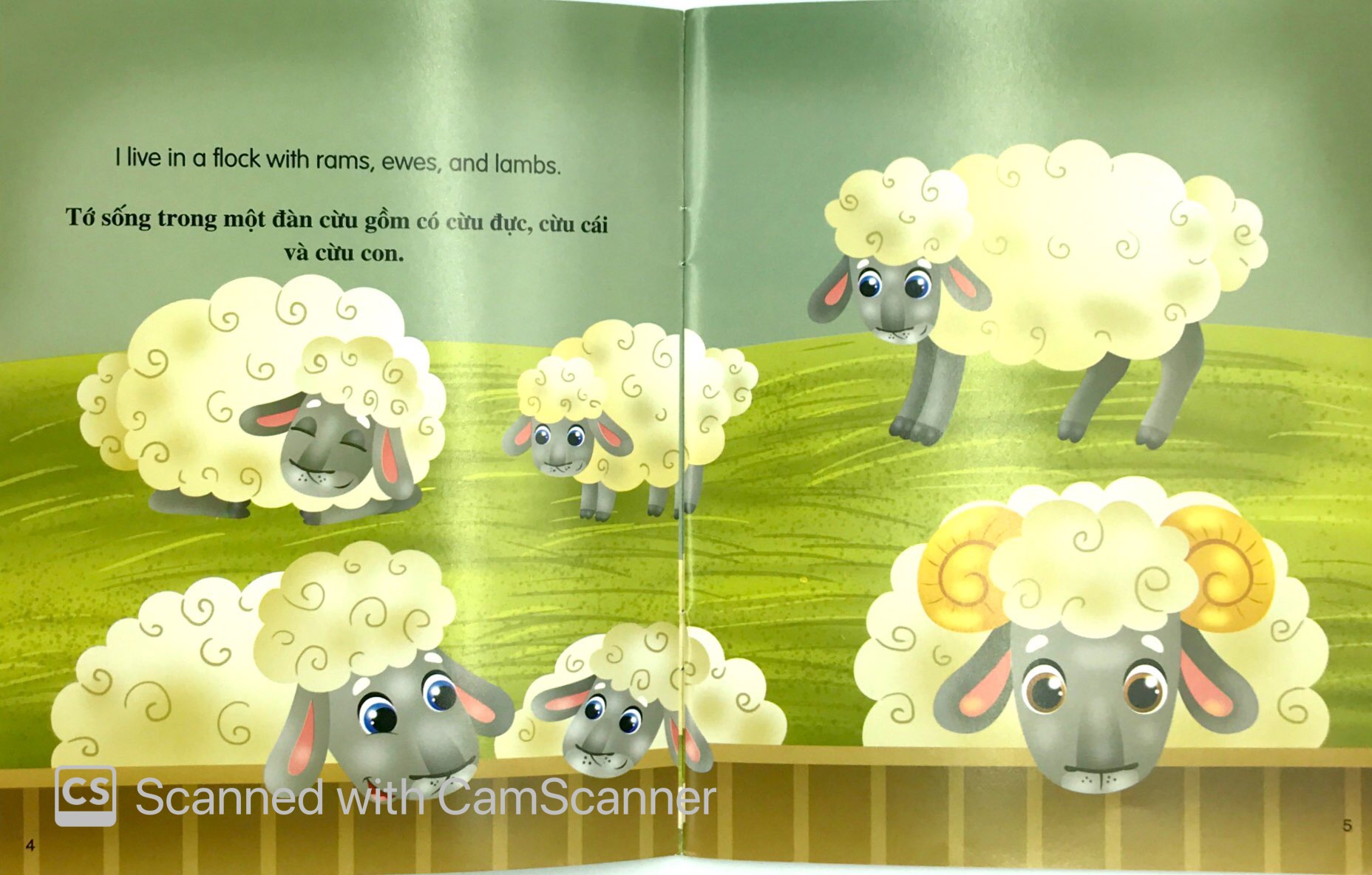 những câu chuyện về thế giới động vật - tớ là một chú cừu - i am a sheep (song ngữ anh - việt) - Ảnh 3