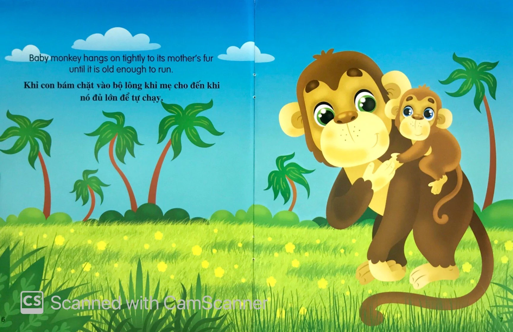 những câu chuyện về thế giới động vật - tớ là một chú khỉ - i am a monkey (song ngữ anh-việt) - Ảnh 4