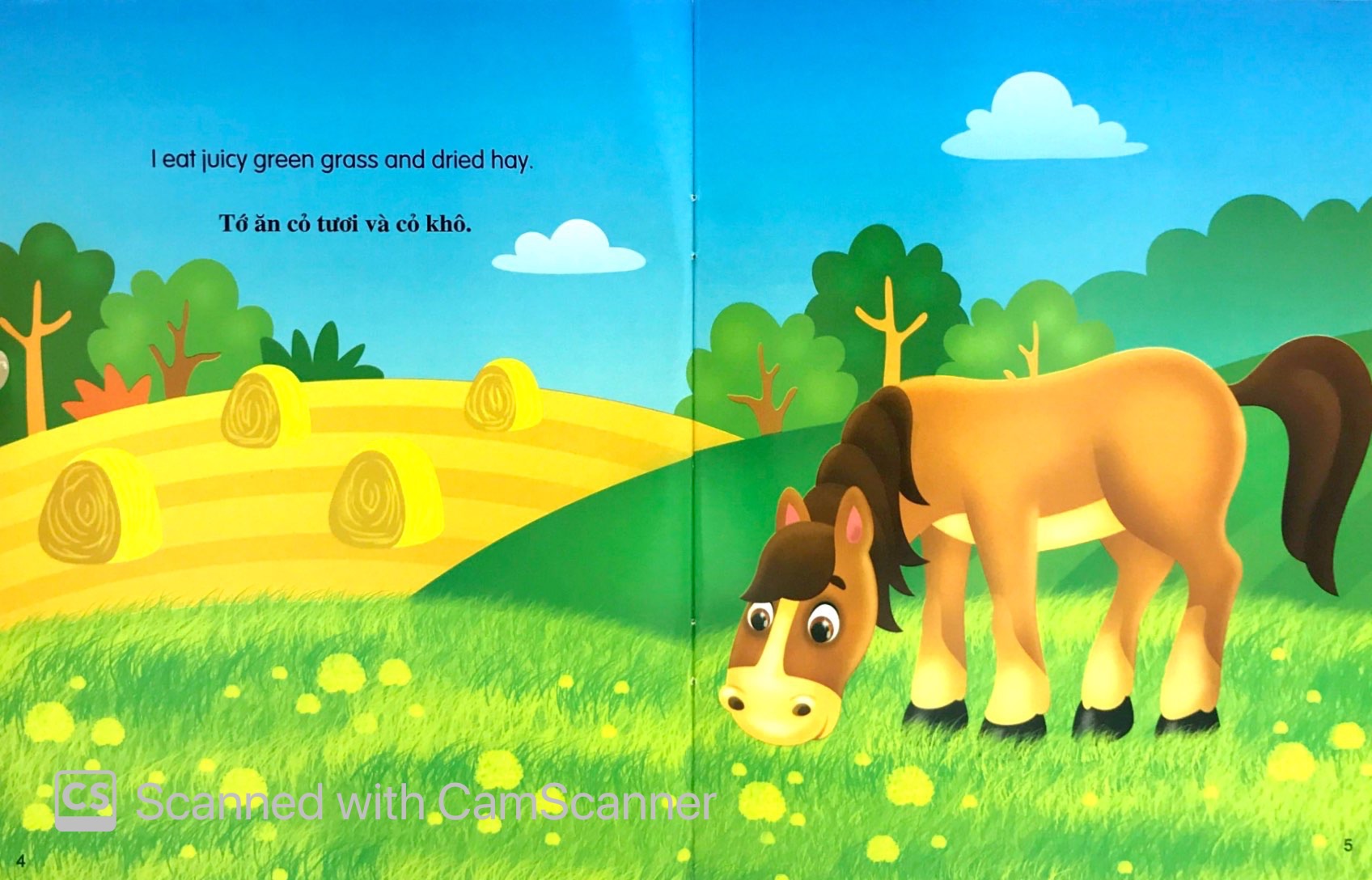 Những Câu Chuyện Về Thế Giới Động Vật - Tớ Là Một Chú Ngựa - I Am A Horse (Song Ngữ Anh-Việt) - Ảnh 3
