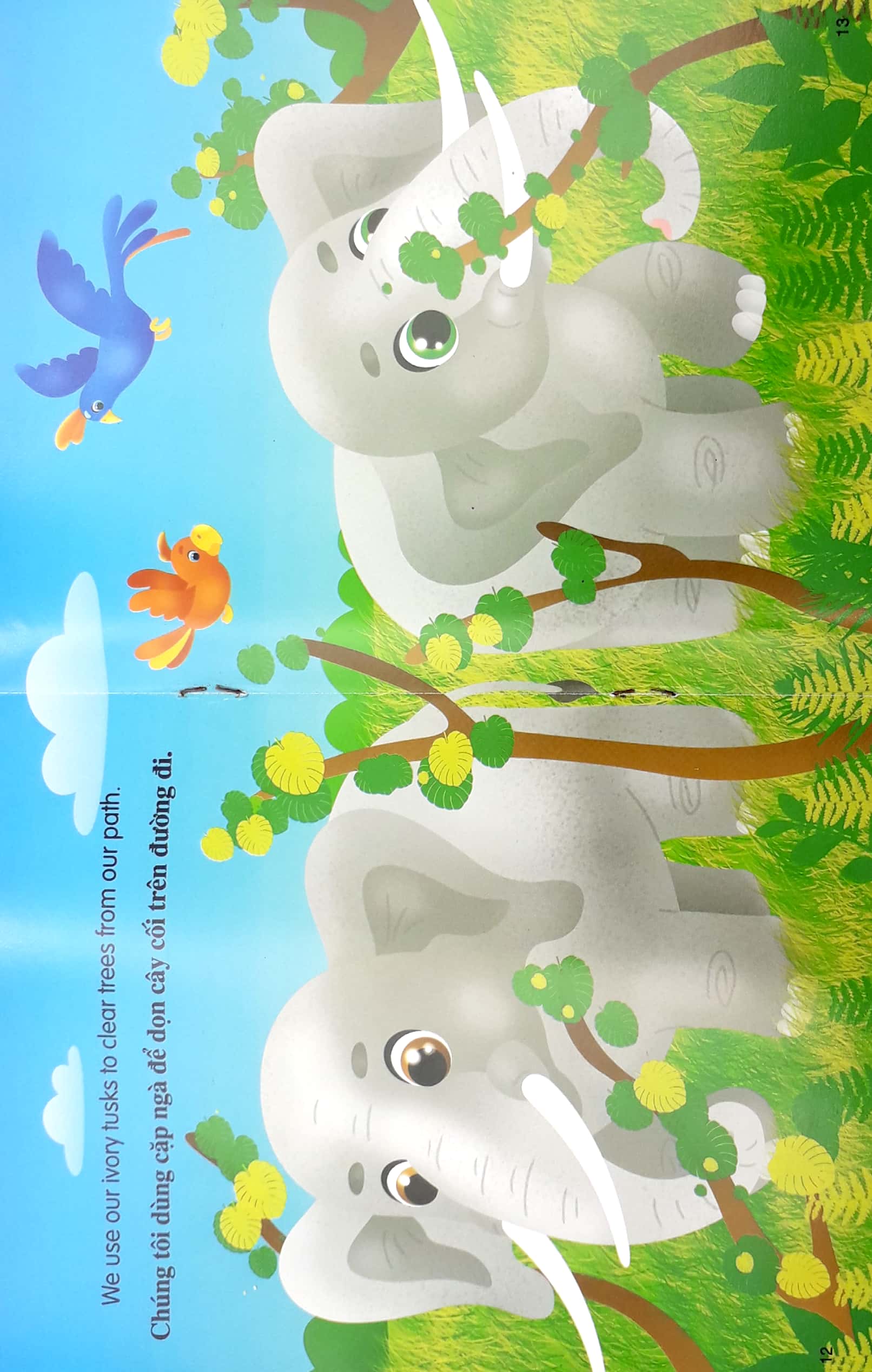 những câu chuyện về thế giới động vật - tớ là một chú voi - i am an elephant (song ngữ anh-việt) - Ảnh 8
