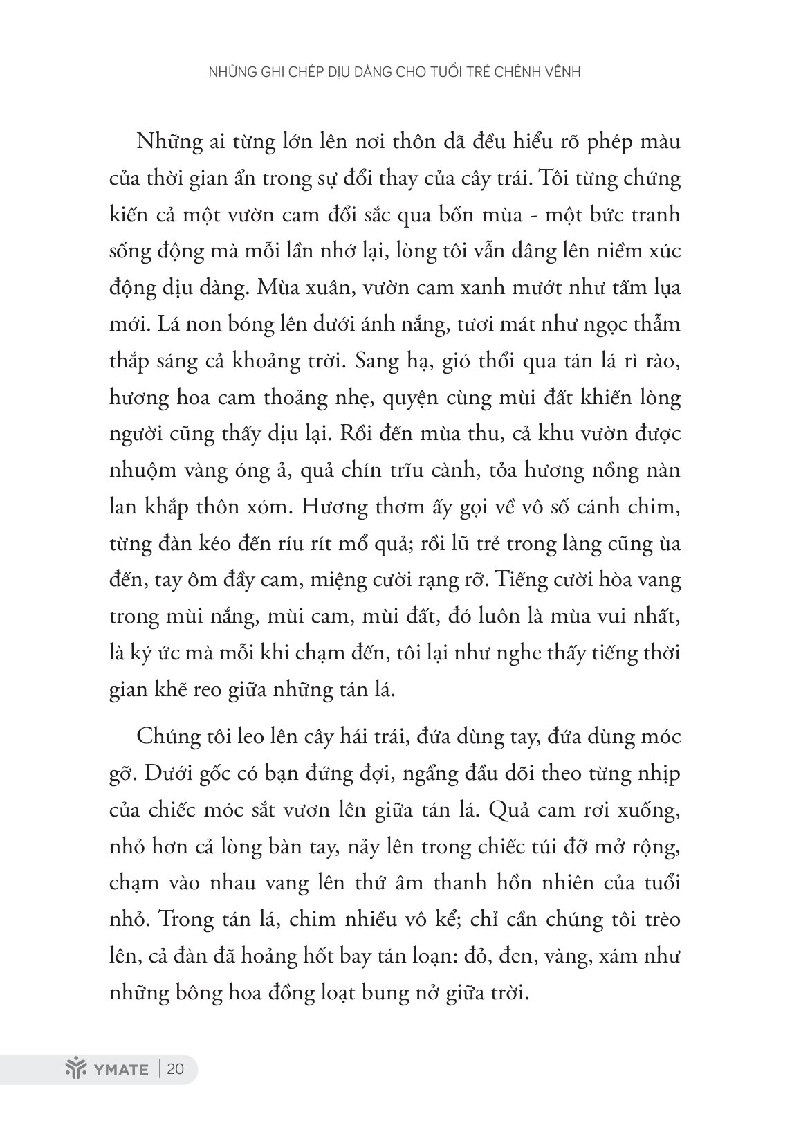 Những Ghi Chép Dịu Dàng Cho Tuổi Trẻ Chênh Vênh - Ảnh 6