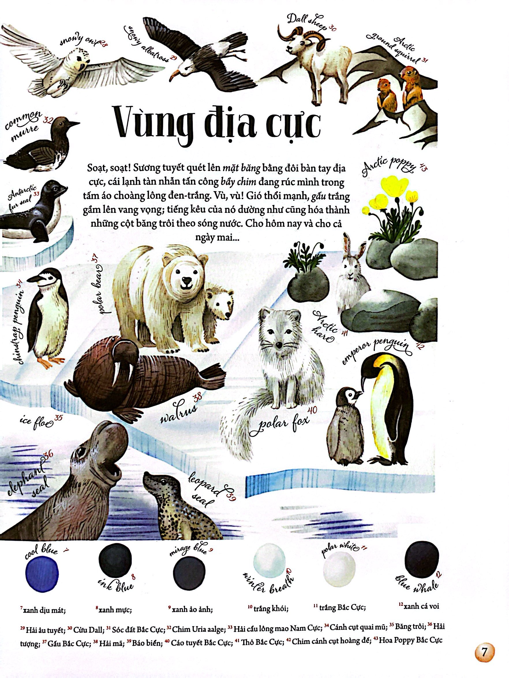 những mảnh ghép đa sắc của các hệ sinh thái - Ảnh 7