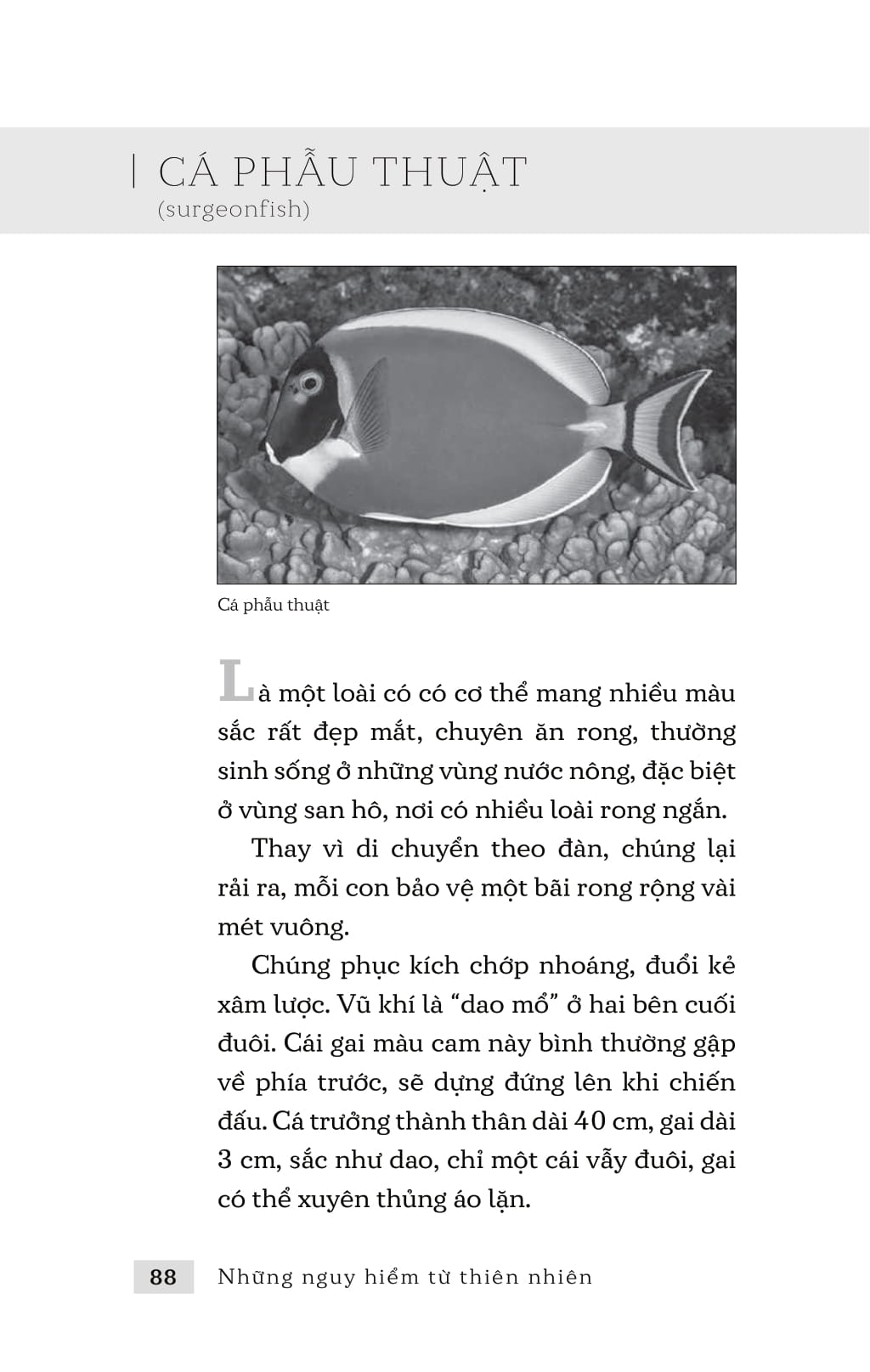 những nguy hiểm từ thiên nhiên - Ảnh 7