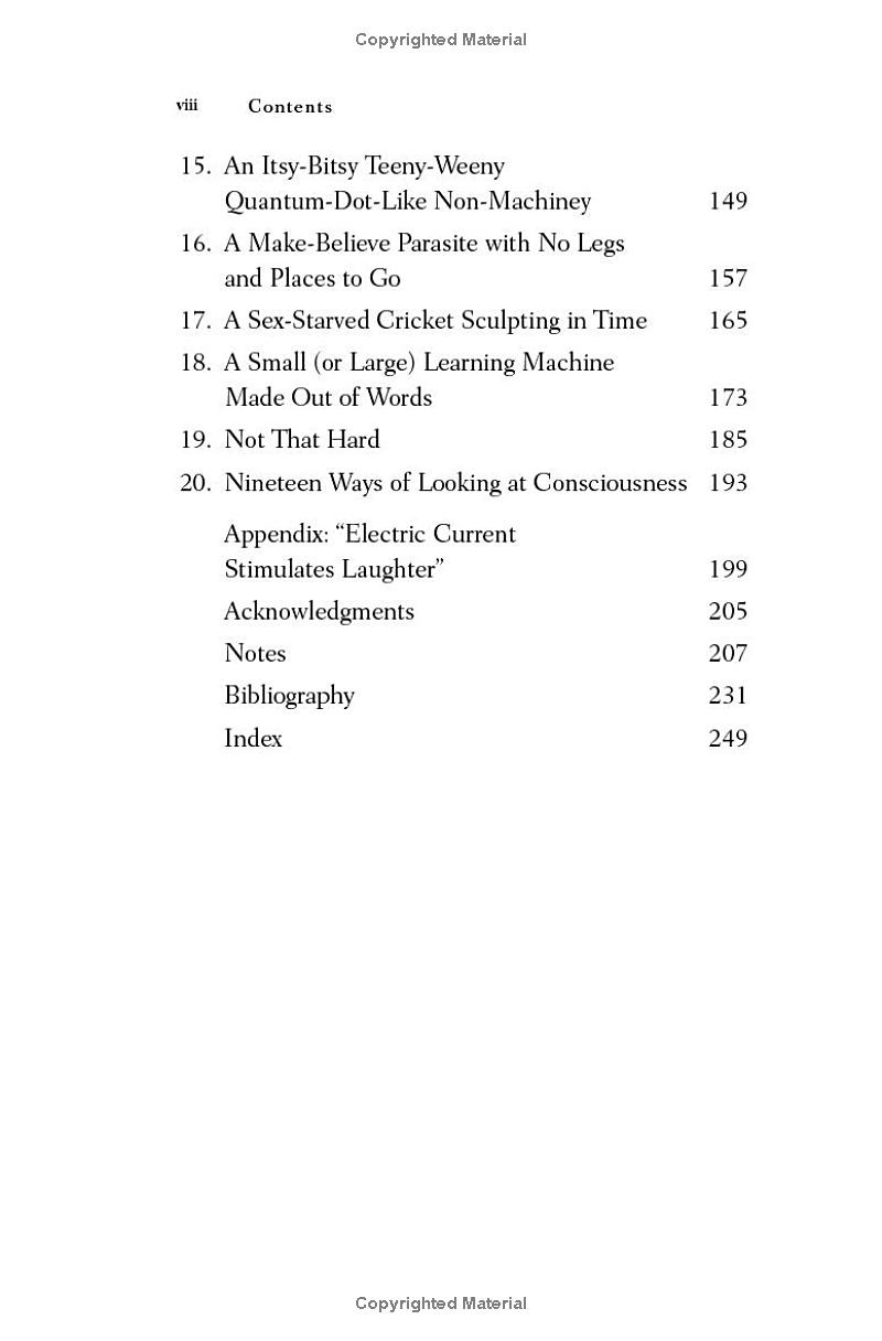 nineteen ways of looking at consciousness - Ảnh 4