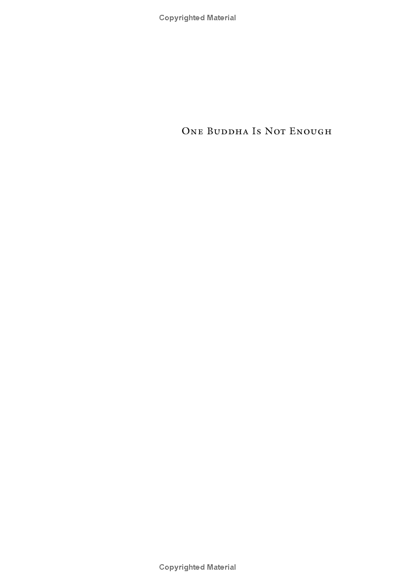 one buddha is not enough: a story of collective awakening - Ảnh 3