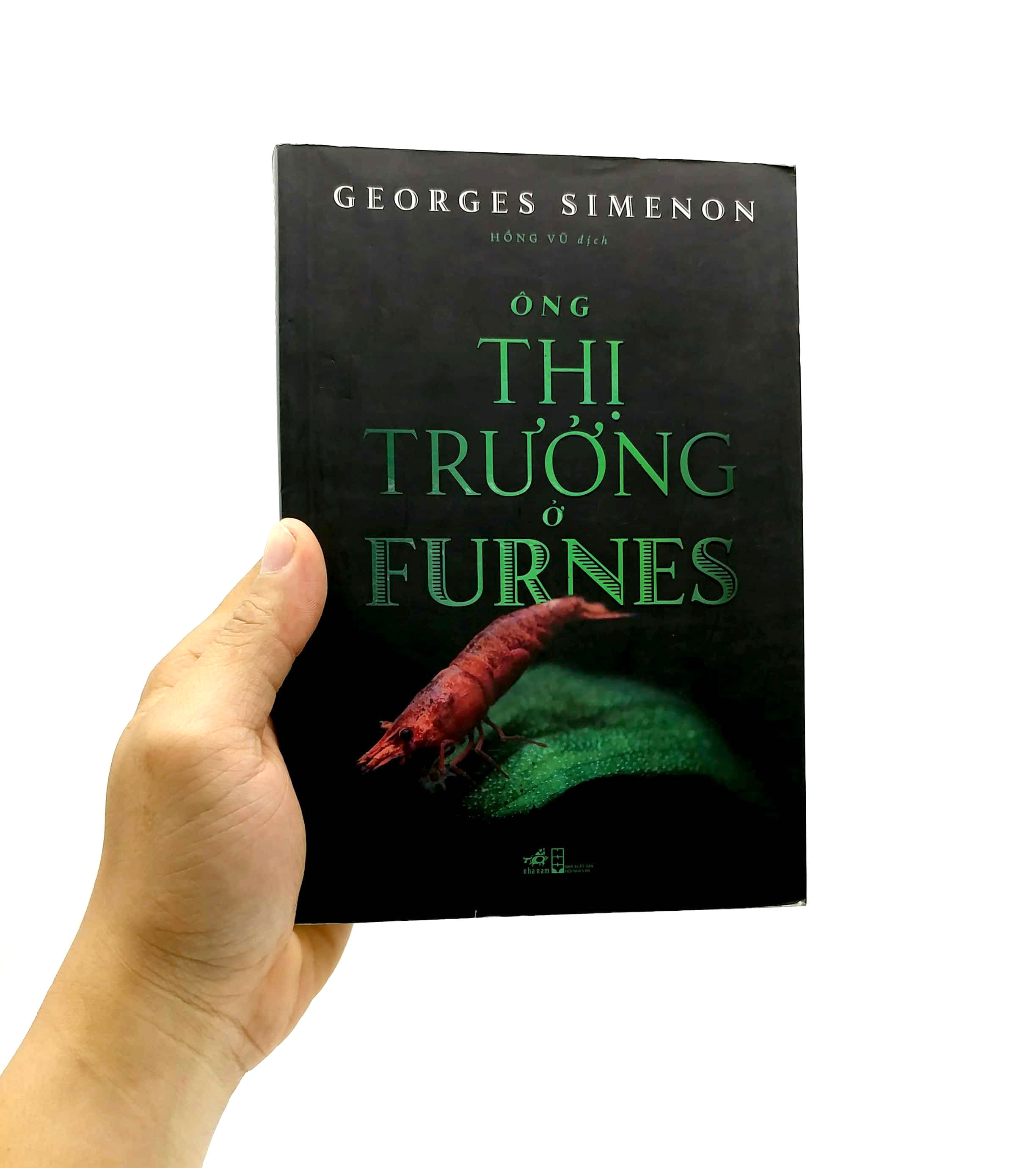 ông thị trưởng ở furnes - Ảnh 7