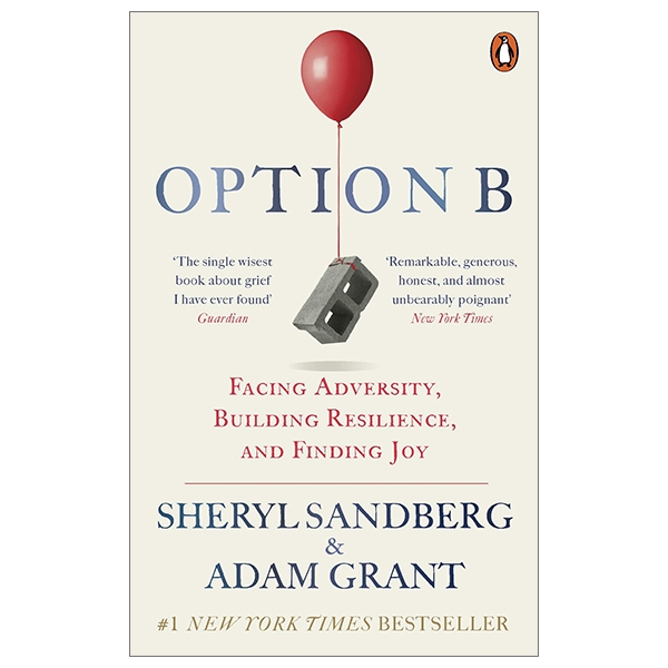 option b: facing adversity, building resilience, and finding joy