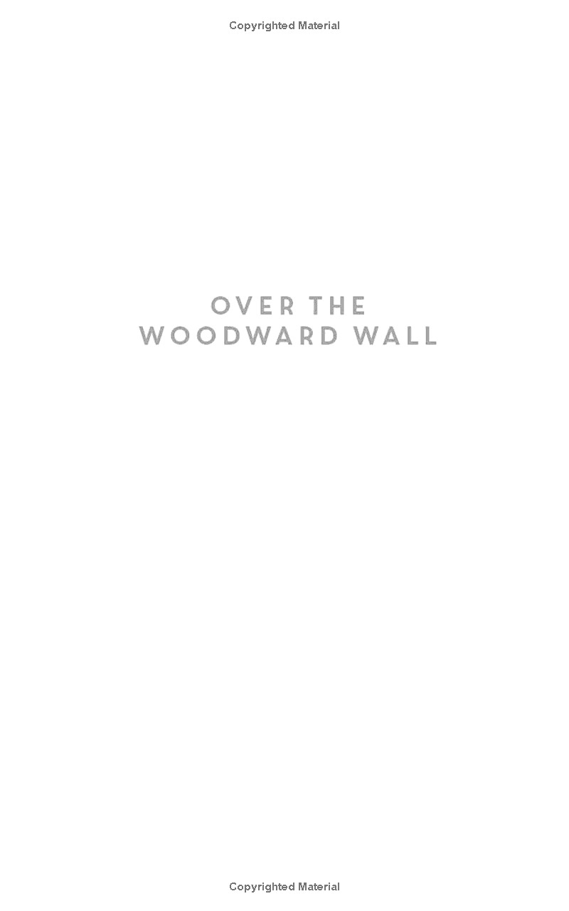 over the woodward wall - Ảnh 3