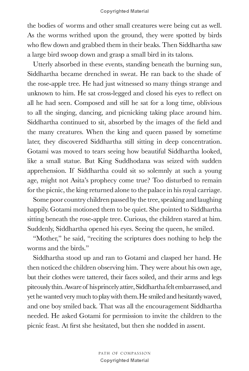 path of compassion : stories from the buddha's life - Ảnh 13