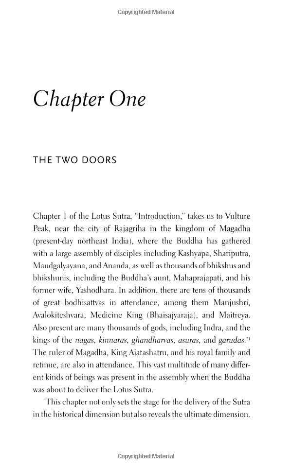 peaceful action, open heart: lessons from the lotus sutra - Ảnh 8