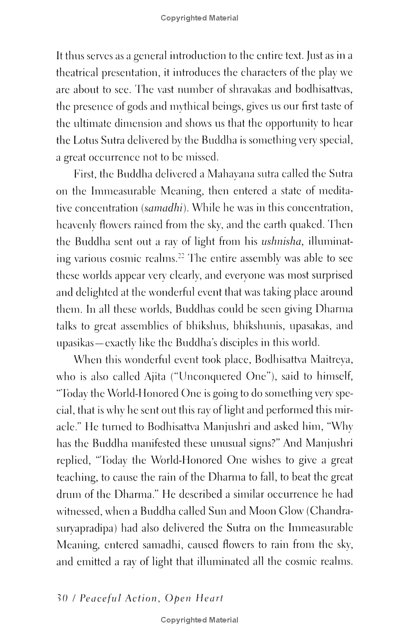 peaceful action, open heart: lessons from the lotus sutra - Ảnh 9