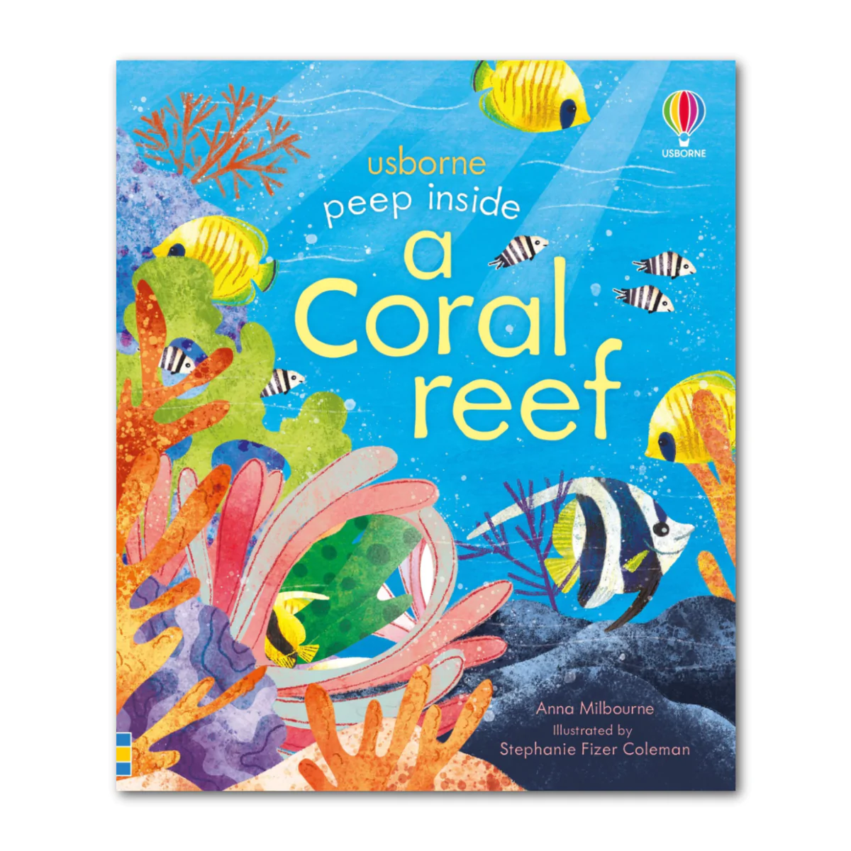 peep inside a coral reef - Ảnh 2
