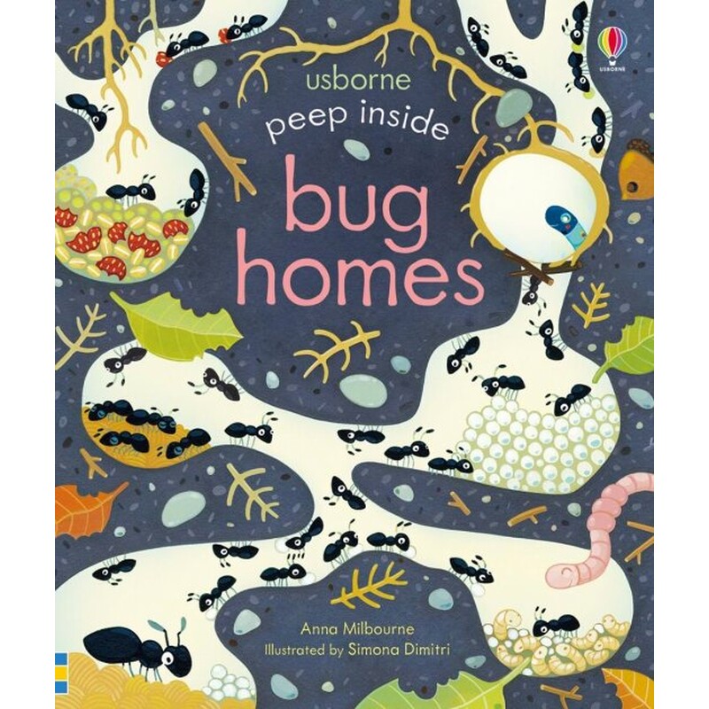 peep inside bug homes - Ảnh 2