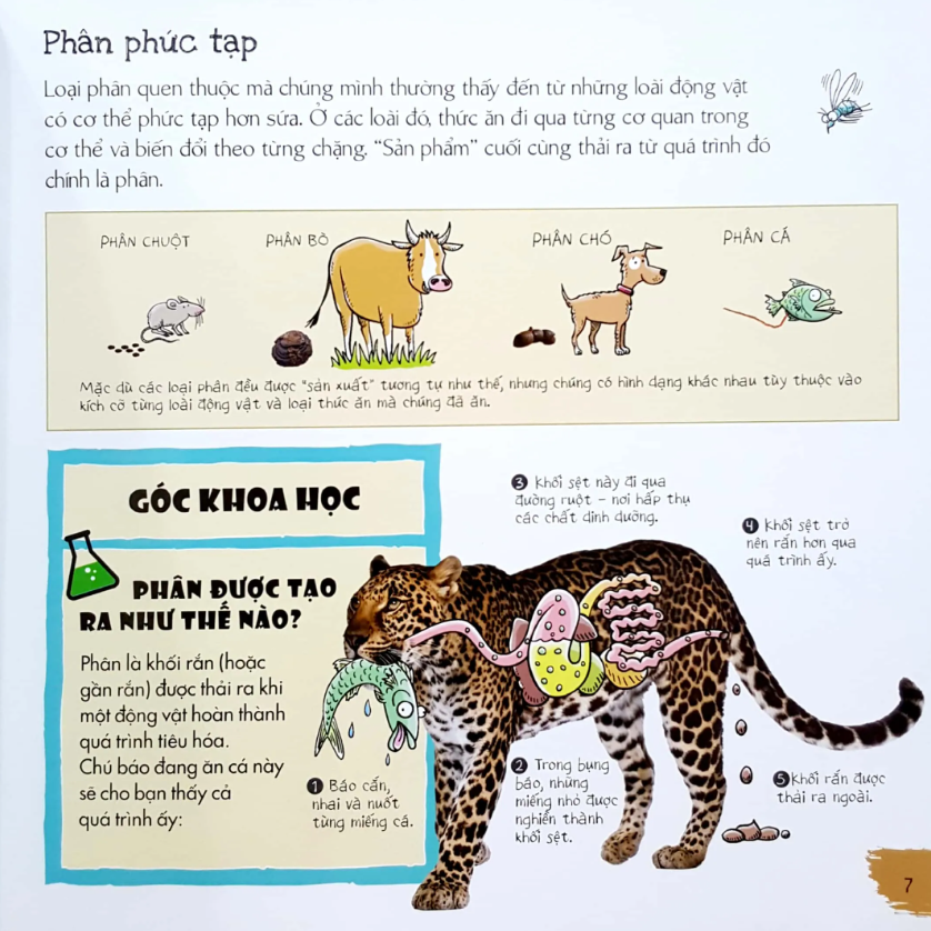 phân của muôn loài - Ảnh 7