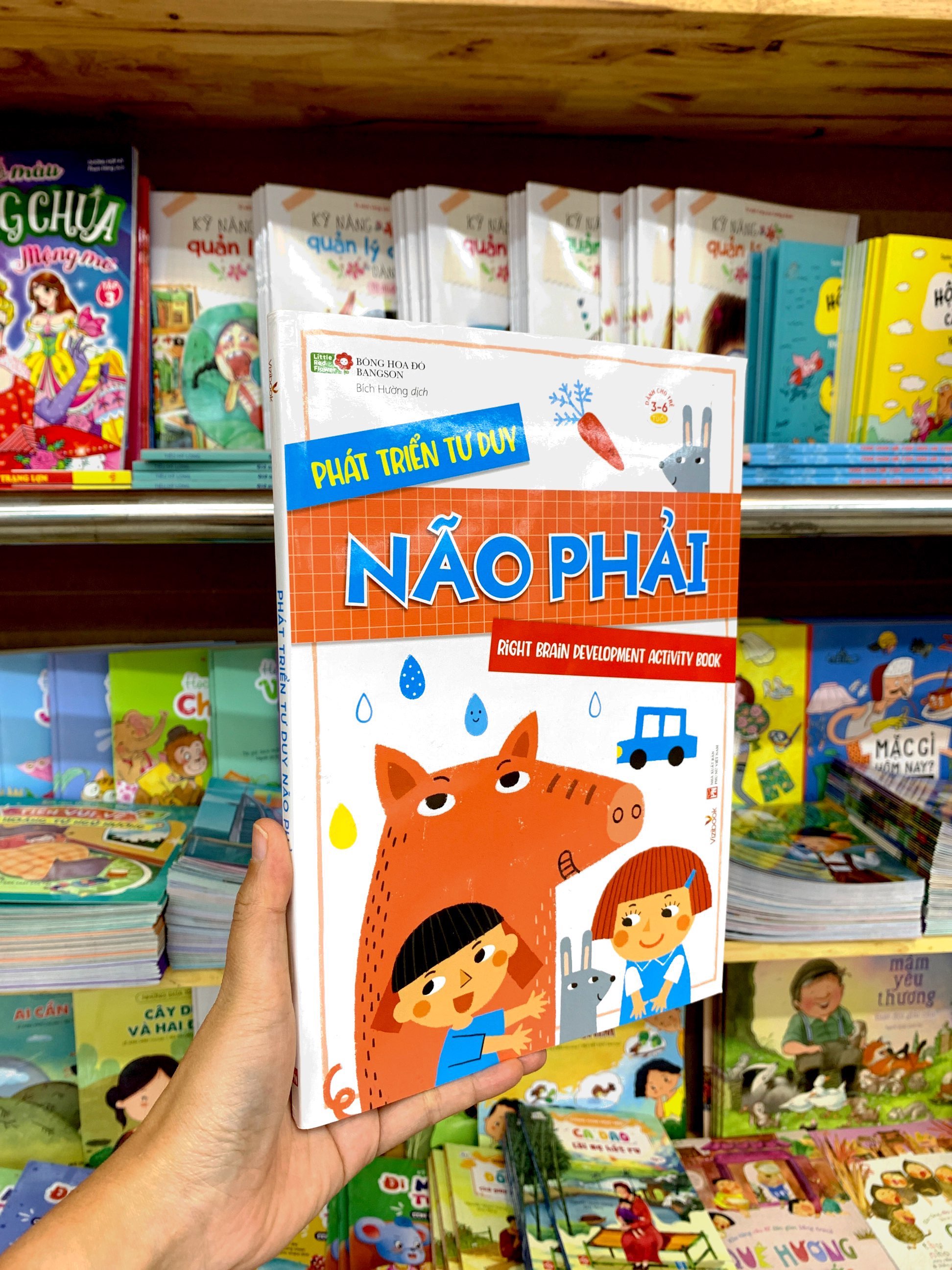 phát triển tư duy não phải - Ảnh 9