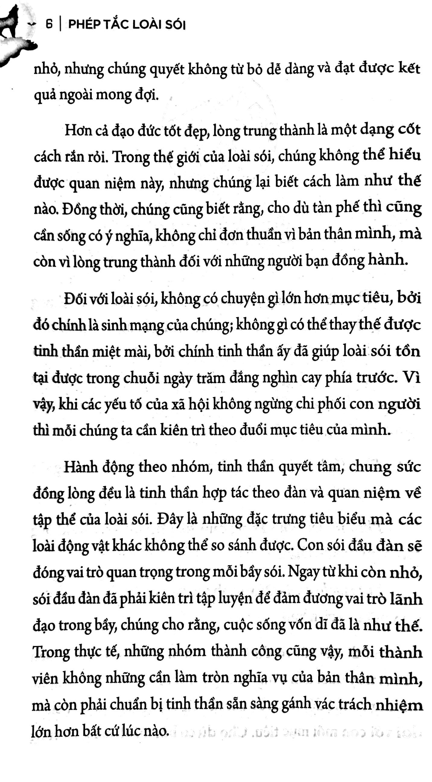 phép tắc loài sói - đạo lý sinh tồn của kẻ mạnh - Ảnh 6