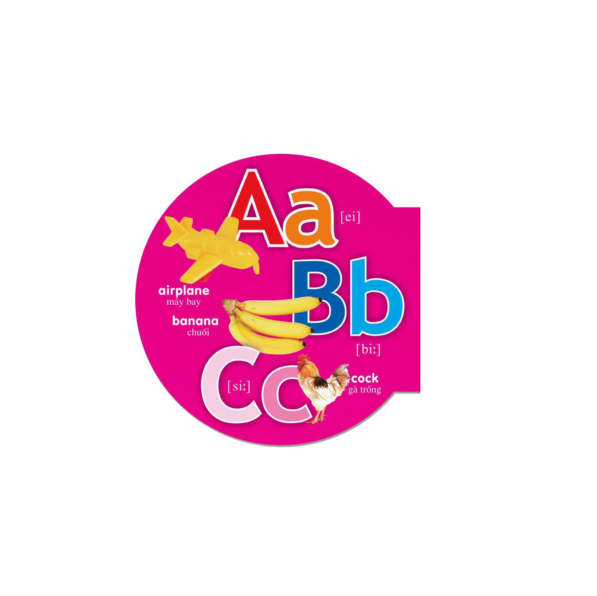 picture dictionary - từ điển bằng hình - alphabet - bảng chữ cái - bìa cứng (tái bản 2023) - Ảnh 3