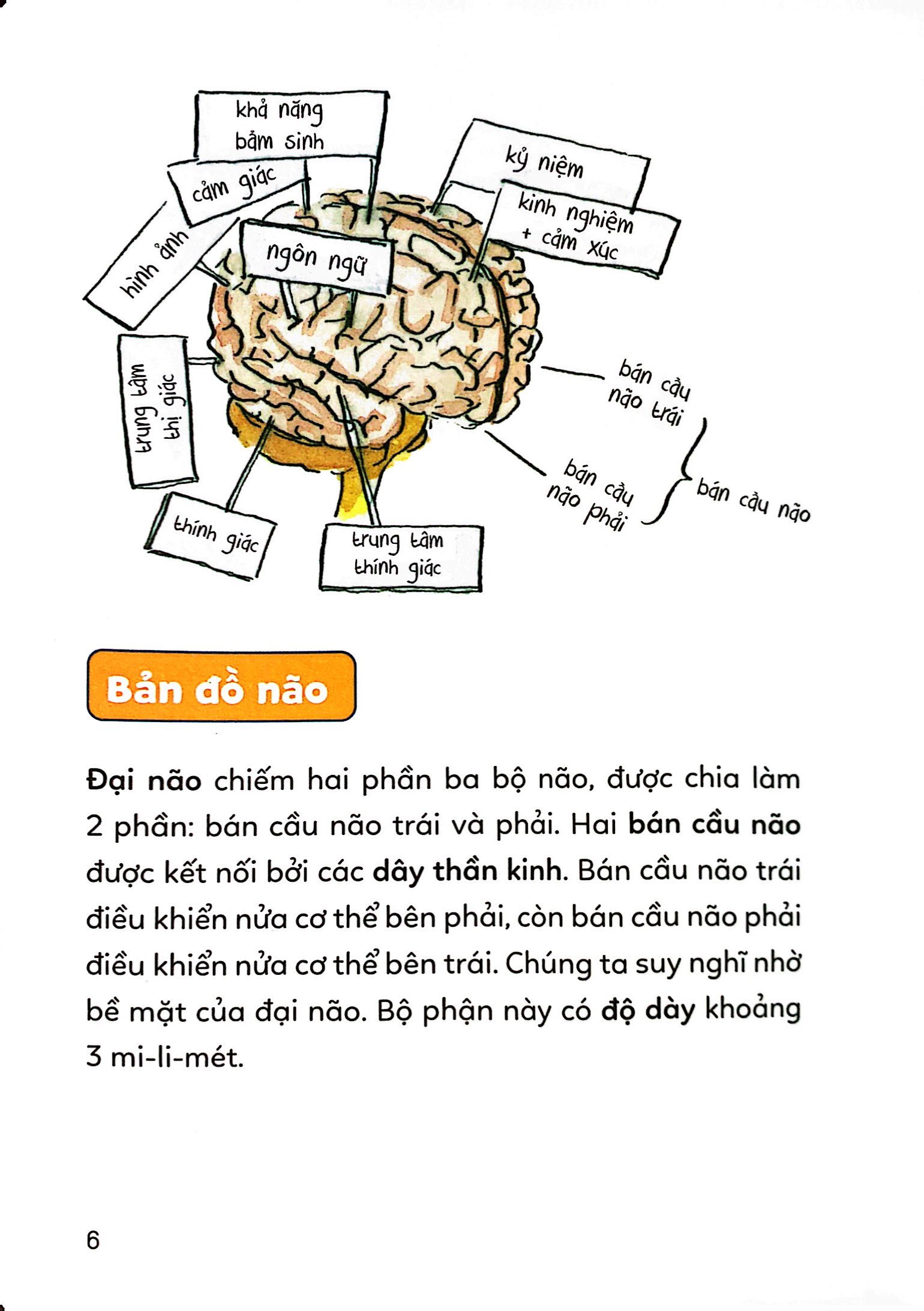 pixi thông thái - cơ thể diệu kỳ - Ảnh 9