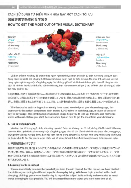 pons general reference - trilingual visual dictionary vietnamese - japanese - english - Ảnh 11