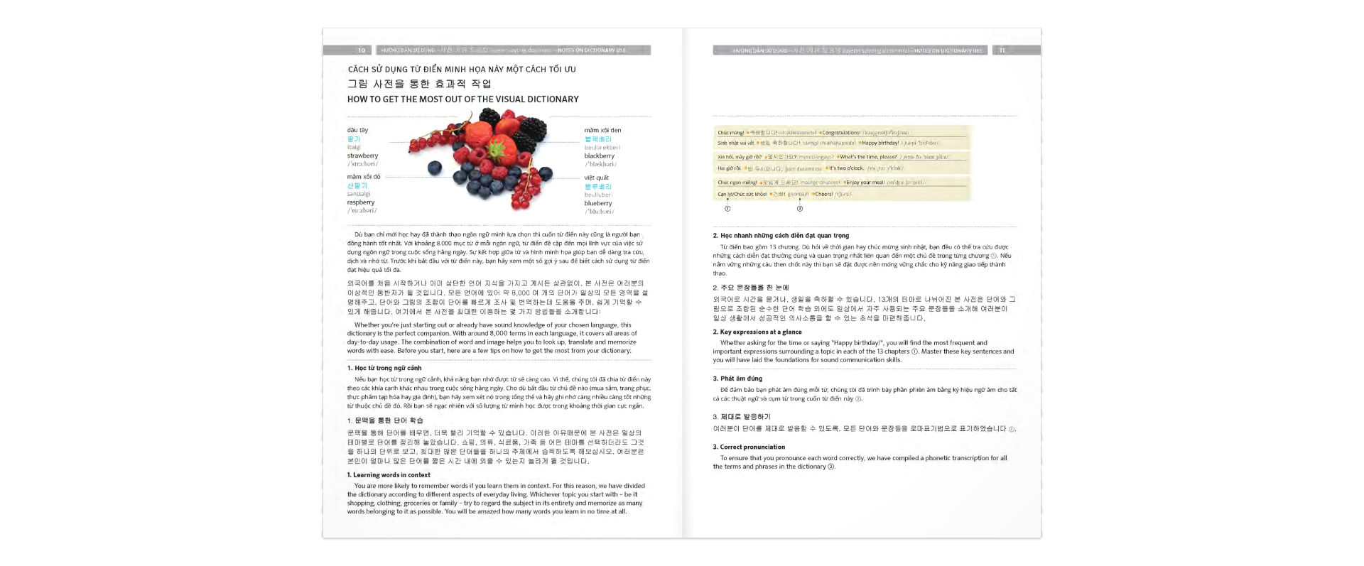 pons general reference - trilingual visual dictionary vietnamese - korean - english - Ảnh 6