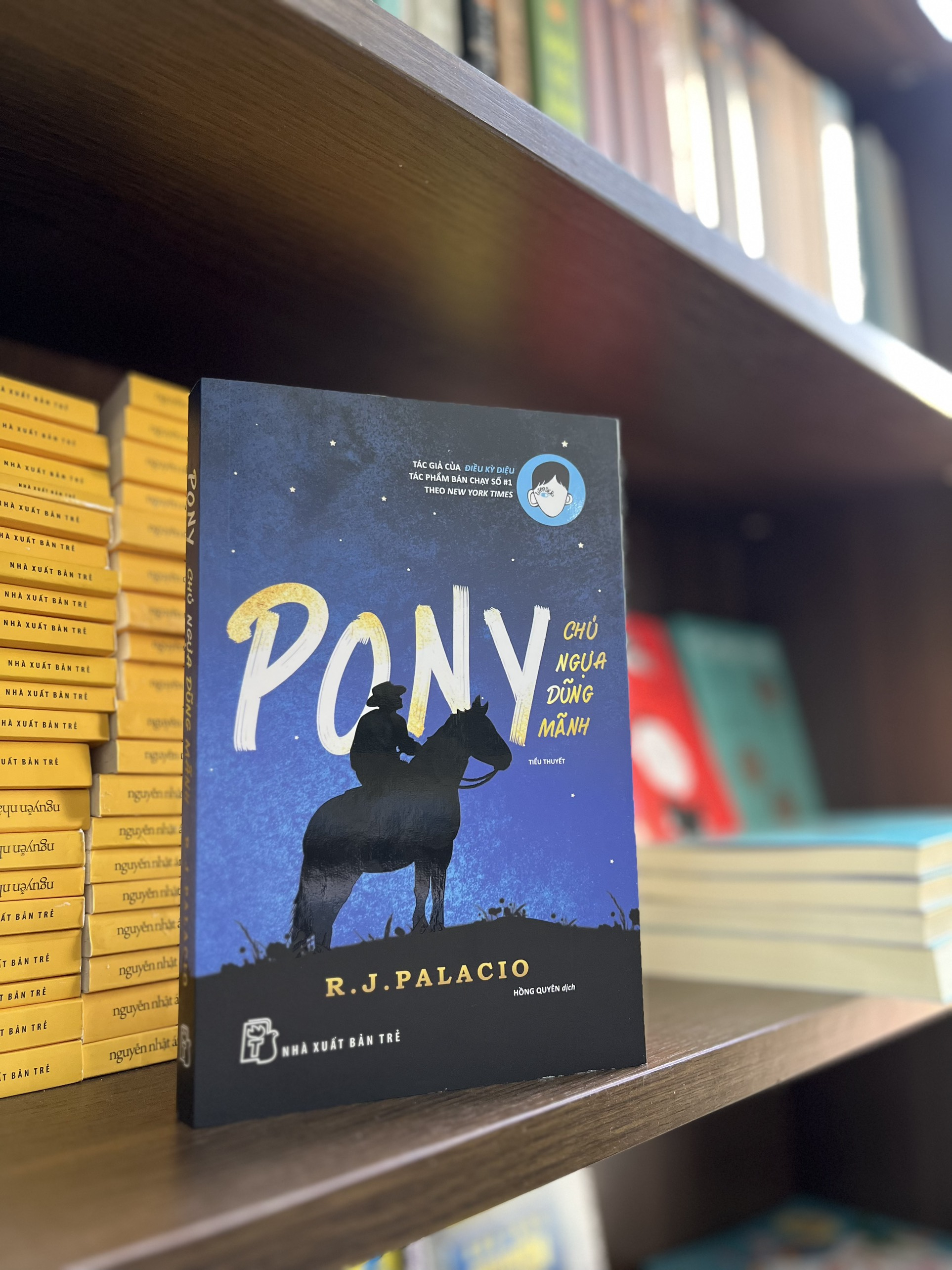 pony - chú ngựa dũng mãnh - Ảnh 2