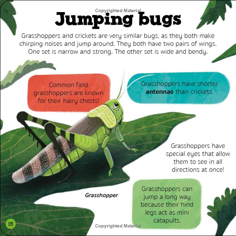 priddy explorers bugs & slugs - Ảnh 7