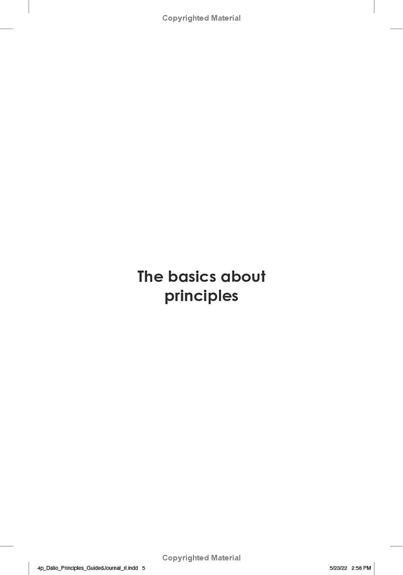 principles: your guided journal (create your own principles to get the work and life you want) - Ảnh 5