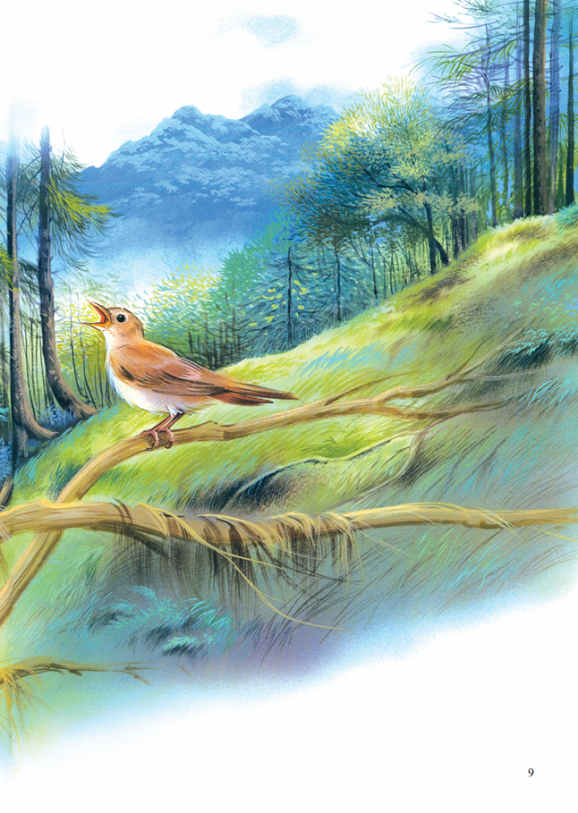 quạ học đòi chim ưng - Ảnh 21
