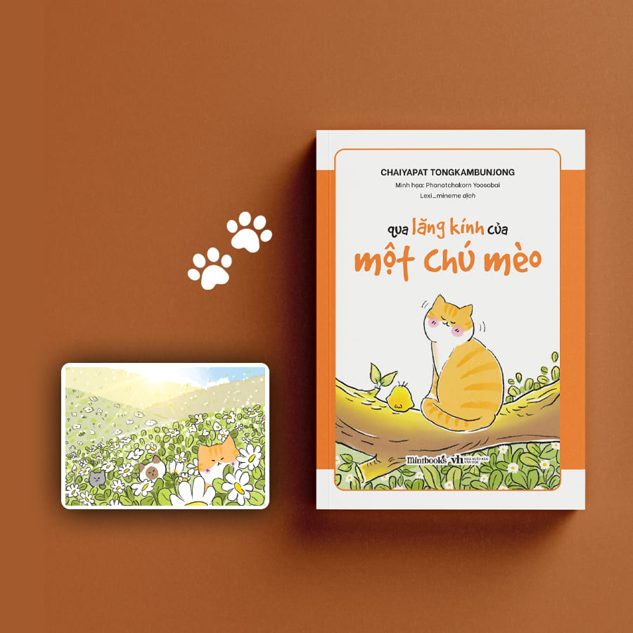 qua lăng kính của một chú mèo - Ảnh 4