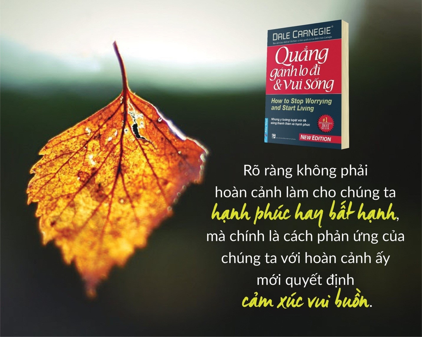 quẳng gánh lo đi và vui sống (tái bản 2021) - Ảnh 4