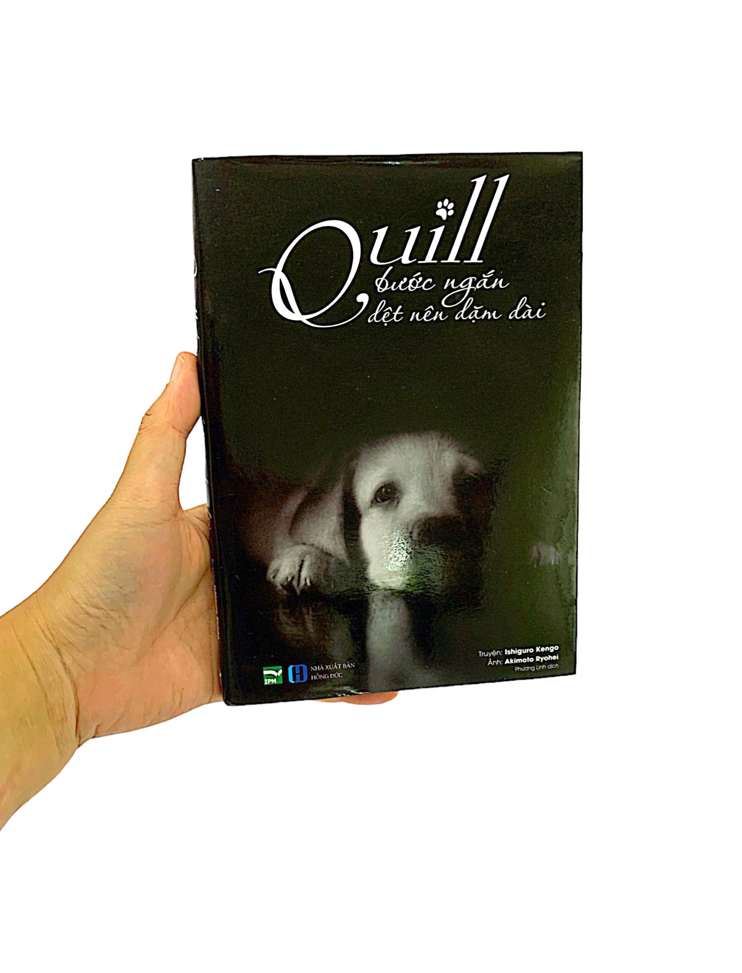 quill - bước ngắn dệt nên dặm dài - Ảnh 11