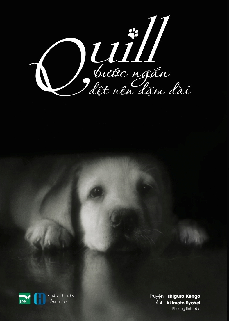 quill - bước ngắn dệt nên dặm dài - Ảnh 2