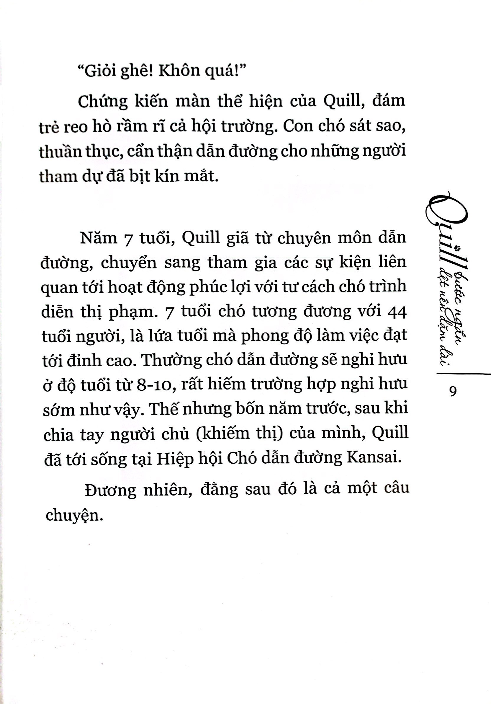quill - bước ngắn dệt nên dặm dài - Ảnh 6
