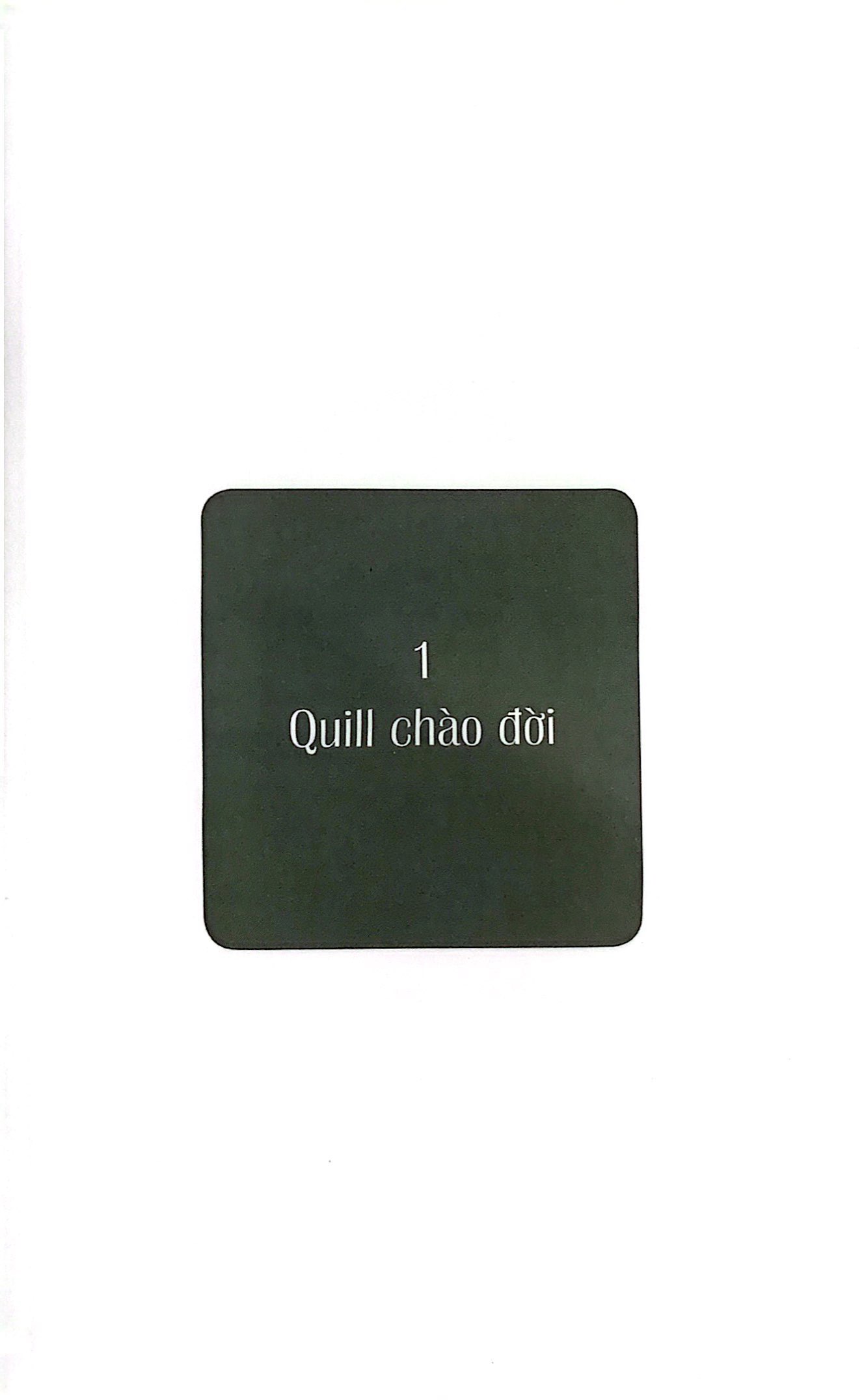 quill - bước ngắn dệt nên dặm dài - Ảnh 7