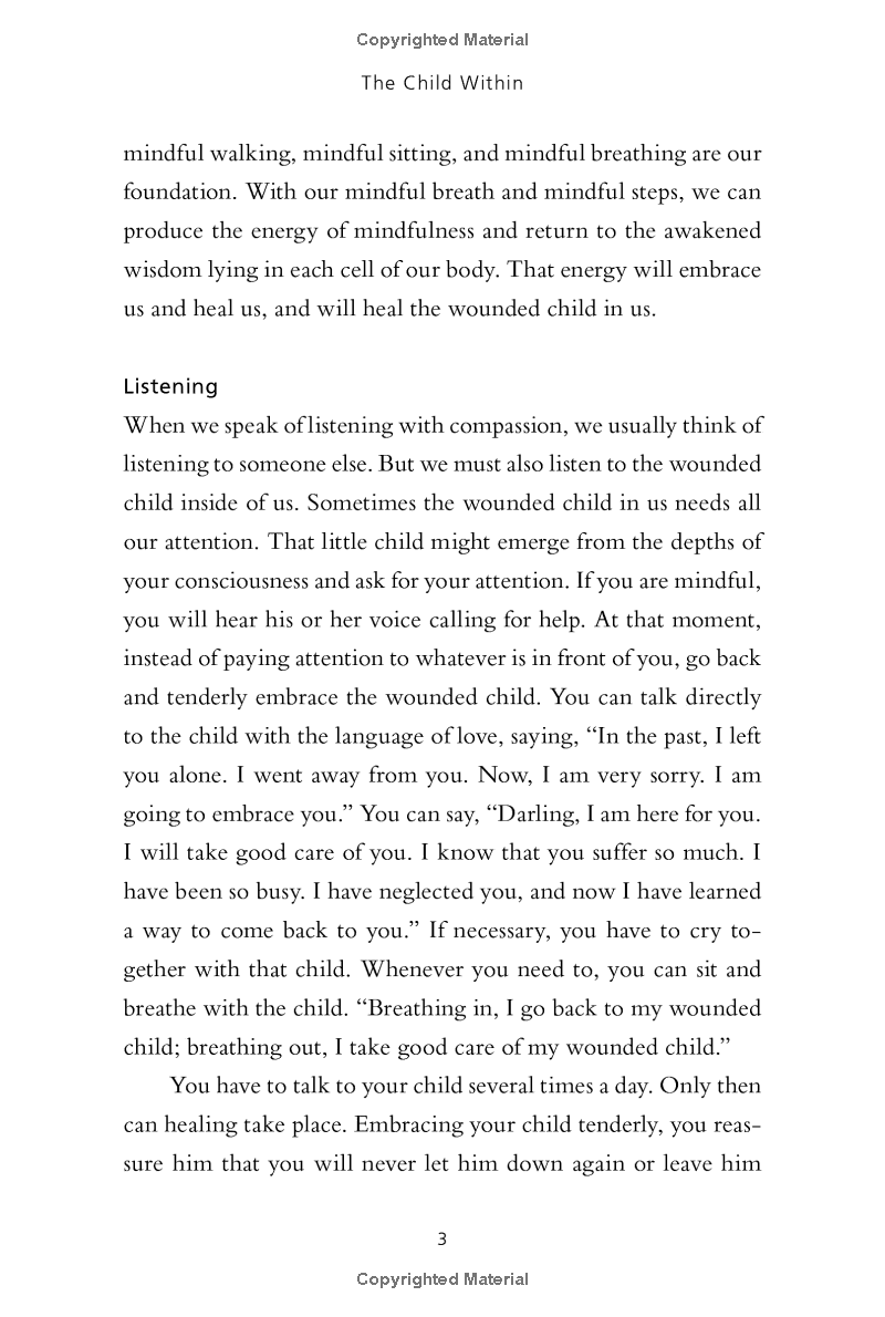 reconciliation : healing the inner child - Ảnh 12